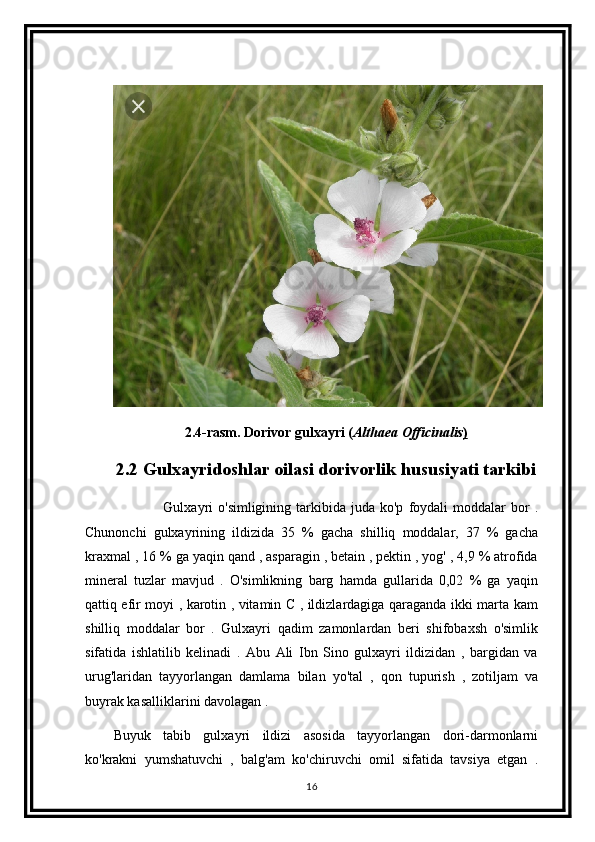 2.4-rasm. Dorivor gulxayri ( Althaea Officinalis )
2.2 Gulxayridoshlar oilasi dorivorlik hususiyati tarkibi
                    Gulxayri  o'simligining   tarkibida  juda  ko'p   foydali  moddalar  bor   .
Chunonchi   gulxayrining   ildizida   35   %   gacha   shilliq   moddalar,   37   %   gacha
kraxmal , 16 % ga yaqin qand , asparagin , betain , pektin , yog' , 4,9 % atrofida
mineral   tuzlar   mavjud   .   O'simlikning   barg   hamda   gullarida   0,02   %   ga   yaqin
qattiq efir moyi , karotin , vitamin C , ildizlardagiga qaraganda ikki marta kam
shilliq   moddalar   bor   .   Gulxayri   qadim   zamonlardan   beri   shifobaxsh   o'simlik
sifatida   ishlatilib   kelinadi   .   Abu   Ali   Ibn   Sino   gulxayri   ildizidan   ,   bargidan   va
urug'laridan   tayyorlangan   damlama   bilan   yo'tal   ,   qon   tupurish   ,   zotiljam   va
buyrak kasalliklarini davolagan .
Buyuk   tabib   gulxayri   ildizi   asosida   tayyorlangan   dori-darmonlarni
ko'krakni   yumshatuvchi   ,   balg'am   ko'chiruvchi   omil   sifatida   tavsiya   etgan   .
16 