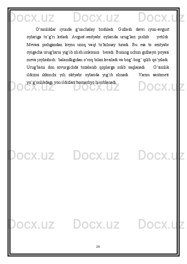 O simliklar   iyunda   g unchalay   boshladi.   Gullash   davri   iyun-avgustʻ ʻ
oylariga   to g ri   keladi.   Avgust-sentyabr   oylarida   urug lari   pishib       yetildi.	
ʻ ʻ ʻ
Mevasi   pishgandan   keyin   uzoq   vaqt   to kilmay   turadi.   Bu   esa   to   sentyabr	
ʻ
oyigacha urug larni yig ib olish imkonini   beradi. Buning uchun gulhayri poyasi	
ʻ ʻ
meva joylashish   balandligidan o roq bilan kesiladi va bog -bog  qilib qo yiladi.	
ʻ ʻ ʻ ʻ
Urug larni   don   sovurgichda   tozalanib   qoplarga   solib   saqlanadi.       O simlik	
ʻ ʻ
ildizini   ikkinchi   yili   oktyabr   oylarida   yig ib   olinadi.       Yarim   santimetr	
ʻ
yo g onlikdagi yon ildizlari homashyo hisoblanadi.  	
ʻ ʻ
20 
