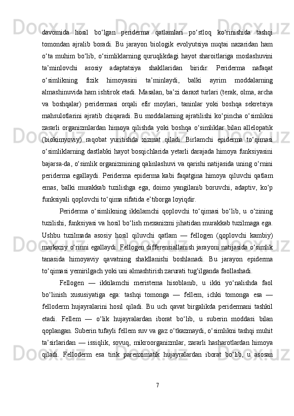 davomida   hosil   bo‘lgan   periderma   qatlamlari   po‘stloq   ko‘rinishida   tashqi
tomondan   ajralib   boradi.   Bu   jarayon   biologik   evolyutsiya   nuqtai   nazaridan   ham
o‘ta   muhim   bo‘lib,   o‘simliklarning   quruqlikdagi   hayot   sharoitlariga   moslashuvini
ta’minlovchi   asosiy   adaptatsiya   shakllaridan   biridir.   Periderma   nafaqat
o‘simlikning   fizik   himoyasini   ta’minlaydi,   balki   ayrim   moddalarning
almashinuvida ham ishtirok etadi. Masalan, ba’zi daraxt turlari (terak, olma, archa
va   boshqalar)   peridermasi   orqali   efir   moylari,   taninlar   yoki   boshqa   sekretsiya
mahsulotlarini   ajratib  chiqaradi.  Bu   moddalarning  ajratilishi  ko‘pincha  o‘simlikni
zararli   organizmlardan   himoya   qilishda   yoki   boshqa   o‘simliklar   bilan   allelopatik
(biokimyoviy)   raqobat   yuritishda   xizmat   qiladi.   Birlamchi   epiderma   to‘qimasi
o‘simliklarning dastlabki hayot bosqichlarida yetarli darajada himoya funksiyasini
bajarsa-da, o‘simlik organizmining qalinlashuvi va qarishi natijasida uning o‘rnini
periderma   egallaydi.   Periderma   epiderma   kabi   faqatgina   himoya   qiluvchi   qatlam
emas,   balki   murakkab   tuzilishga   ega,   doimo   yangilanib   boruvchi,   adaptiv,   ko‘p
funksiyali qoplovchi to‘qima sifatida e’tiborga loyiqdir.
Periderma   o‘simlikning   ikkilamchi   qoplovchi   to‘qimasi   bo‘lib,   u   o‘zining
tuzilishi, funksiyasi va hosil bo‘lish mexanizmi jihatidan murakkab tuzilmaga ega.
Ushbu   tuzilmada   asosiy   hosil   qiluvchi   qatlam   —   fellogen   (qoplovchi   kambiy)
markaziy o‘rinni egallaydi. Fellogen differensiallanish jarayoni natijasida o‘simlik
tanasida   himoyaviy   qavatning   shakllanishi   boshlanadi.   Bu   jarayon   epiderma
to‘qimasi yemirilgach yoki uni almashtirish zarurati tug‘ilganda faollashadi.
Fellogen   —   ikkilamchi   meristema   hisoblanib,   u   ikki   yo‘nalishda   faol
bo‘linish   xususiyatiga   ega:   tashqi   tomonga   —   fellem,   ichki   tomonga   esa   —
felloderm   hujayralarini   hosil   qiladi.   Bu   uch   qavat   birgalikda   peridermani   tashkil
etadi.   Fellem   —   o‘lik   hujayralardan   iborat   bo‘lib,   u   suberin   moddasi   bilan
qoplangan. Suberin tufayli fellem suv va gaz o‘tkazmaydi, o‘simlikni tashqi muhit
ta’sirlaridan   —   issiqlik,   sovuq,   mikroorganizmlar,   zararli   hasharotlardan   himoya
qiladi.   Felloderm   esa   tirik   parenximatik   hujayralardan   iborat   bo‘lib,   u   asosan
7 