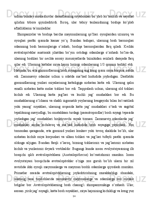 uchun bunday moslashuvlar daraxtlarning soyabonlari bo’ylab ko’tarilish va sayohat
qilishni   tobora   qiyinlashtirdi.   Biroq,   ular   tabiiy   tanlanishning   boshqa   ko’plab
afzalliklarini ta’minladilar.
    Shimpanzelar   va   boshqa   barcha   maymunlarning   qo’llari   oyoqlaridan   uzunroq   va
oyoqlari   pastki   qismida   kamar   yo’q.   Bundan   tashqari,   ularning   bosh   barmoqlari
odamning   bosh   barmoqlariga   o’xshab,   boshqa   barmoqlaridan   farq   qiladi.   Kechki
avstralopiteklar   anatomik   jihatdan   bo’yin   ostidagi   odamlarga   o’xshash   bo’lsa-da,
ularning   boshlari   bir   nechta   asosiy   xususiyatlarda   biznikidan   sezilarli   darajada   farq
qilar edi. Ularning kattalar miya hajmi hozirgi odamlarning 1/3 qismini  tashkil etdi.
Natijada, bu erta gominidlarning bosh suyagining eng keng qismi miya korpusi ostida
edi.   Zamonaviy   odamlar   uchun   u   odatda   ma’bad   hududida   joylashgan.   Dastlabki
gominidlarning   yuzlari   miyalarining   kattaligiga   nisbatan   katta   edi.   Ularning   qalin
emalli   nisbatan   katta   molar   tishlari   bor   edi.  Taqqoslash   uchun,   ularning   old   tishlari
kichik   edi.   Ularning   katta   jag’lari   va   kuchli   jag’   mushaklari   bor   edi.   Bu
mushaklarning o’lchami va shakli zigomatik yoylarning kengayishi bilan ko’rsatiladi
yoki   yanog’   suyaklari,   ularning   orqasida   katta   jag’   mushaklari   o’tadi   va   sagittal
tepalikning mavjudligi, bu mustahkam turdagi (parantropoidlar) bosh suyagi tepasida
joylashgan   jag’  mushaklari   biriktiruvchi   suyak   tizmasi.   Zamonaviy   odamlarda   jag’
mushaklari   ancha   kichikroq   va   ma’bad   hududida   bosh   suyagiga   yopishadi.   Yon
tomondan   qaraganda,   erta   gominid   yuzlari   konkav   yoki   tovoq   shaklida   bo’lib,   ular
nisbatan   kichik   miya   korpuslari   va   ulkan   tishlari   va   jag’lari   tufayli   pastki   qismida
oldinga   siljigan.   Bundan   farqli   o’laroq,   bizning   tishlarimiz   va   jag’larimiz   nisbatan
kichik   va   yuzlarimiz   deyarli   vertikaldir.   Bugungi   kunda   inson   evolyutsiyasining   ilk
bosqichi   qilib   avstrolopiteklarni   (Australopithecus)   ko’rsatishimiz   mumkin.   Inson
evolyutsiyasi   bosqichida   avstralopiteklar   o’ziga   xos   guruh   bo’lib   ularni   bir   xil
ravishda ikki oyoqli maymunlarga va maymun boshli odamlarga qiyoslash mumkin.
Primatlar   orasida   avstralopiteklarning   joylashtirishning   murakkabligi   shundaki,
ularning   tana   tuzilishlarida   zamonaviy   maymunlarga   va   odamlarga   xos   mozaik
belgilar   bor.   Avstrolopiteklarning   bosh   chanog’i   shimpanzenikiga   o’xshash.   Ular,
asosan ,yirik jag’ suyagli, katta bosh suyaklari, miya hajmining kichikligi va keng yuz
14 