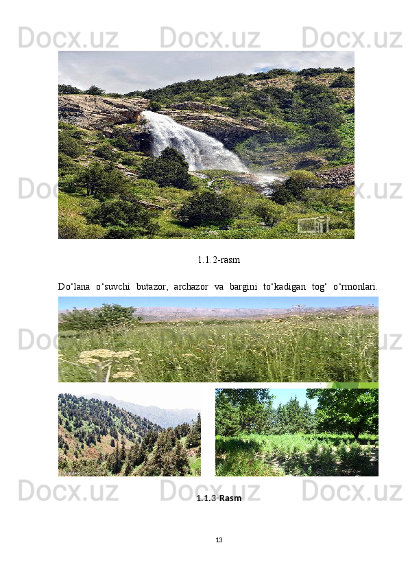 1.1.2-rasm
Do‘lana   o‘suvchi   butazor,   archazor   va   bargini   to‘kadigan   tog‘   o‘rmonlari.
1.1.3- Rasm
13