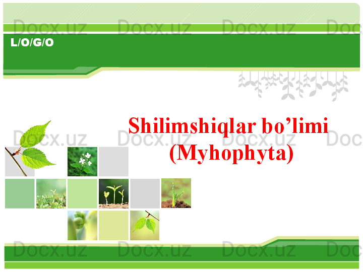 L/O/G/O
Shilimshiqlar bo’limi  
(Myhophyta)       