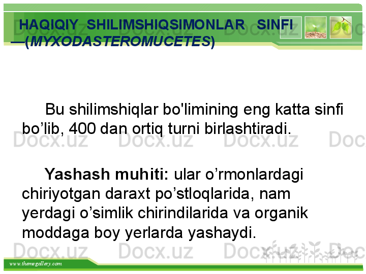 www.themegallery.com    H A Q I Q IY    S H ILIMS H I Q SIMONLAR     SINFI        
— ( M YXODASTEROMUCETES )
     
      Bu shilimshi q lar  bo ' limining eng katta sinfi 
b o’ lib, 400 dan orti q  turni birlashtirad i .
    
      Yashash muhiti:   u lar  o’ rmonlardagi 
chiriyotgan daraxt  po’stloq larida, nam 
y erdagi  o’ simlik chirindilarida va organik 
moddaga boy  y erlarda yashaydi.   