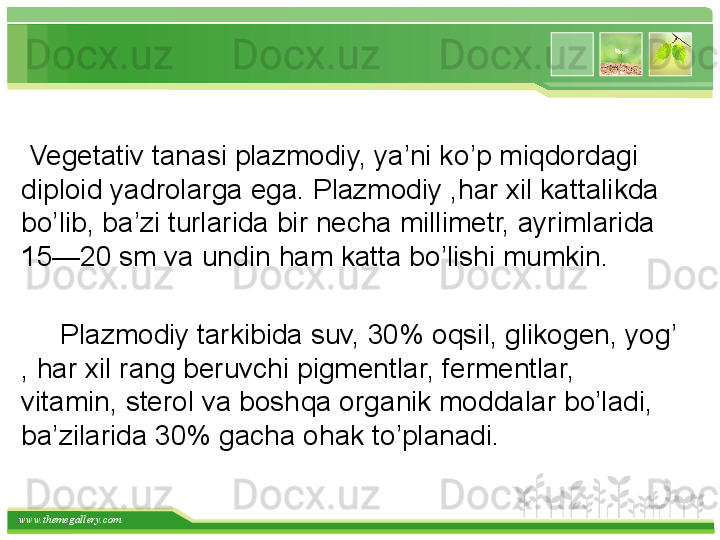 www.themegallery.com    
  Vegetativ tanasi plazmodiy, ya’ni k o’ p mi q dordagi 
diploid  yad rolarga ega. Plazmodiy , h ar xil kattalikda 
b o’ lib, ba’zi turlarida bir necha millimetr, ayrimlarida 
15—20 sm va un din  h am katta b o’ lishi mumkin.      
      Plazmodiy tarkibida suv, 30% o q sil, glikogen, yo g’ 
,  h ar xil rang beruvchi pigmen t lar, fermentlar, 
vitamin, sterol va bosh q a organik moddalar b o’ ladi, 
ba’zilarida 30% gacha o h ak t o’ planadi.    