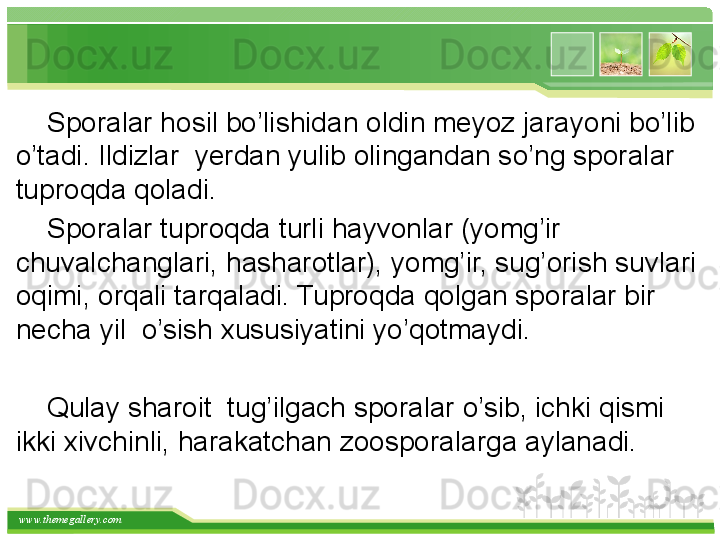 www.themegallery.com     Sporalar hosil bo’lishidan oldin meyoz jarayoni bo’lib 
o’tadi. Ildizlar  yerdan yulib olingandan so’ng sporalar 
tuproqda qoladi. 
     Sporalar tuproqda turli hayvonlar (yomg’ir 
chuvalchanglari, hasharotlar), yomg’ir, sug’orish suvlari 
oqimi, orqali tarqaladi. Tuproqda qolgan sporalar bir 
necha yil  o’sish xususiyatini yo’qotmaydi. 
    
     Qulay sharoit  tug’ilgach sporalar o’sib, ichki qismi 
ikki xivchinli, harakatchan zoosporalarga aylanadi.   