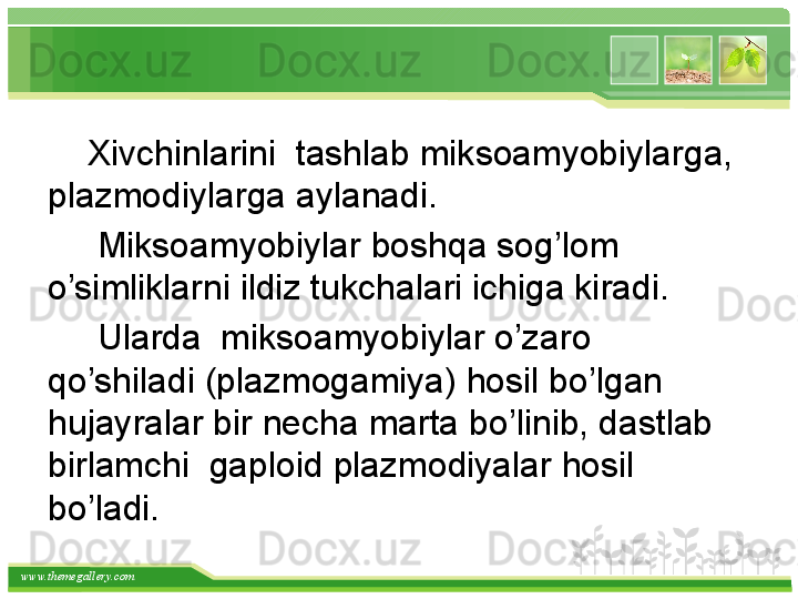 www.themegallery.com      Xivchinlarini  tashlab miksoamyobiylarga,  
plazmodiylarga aylanadi.
      Miksoamyobiylar boshqa sog’lom 
o’simliklarni ildiz tukchalari ichiga kiradi.         
      Ularda  miksoamyobiylar o’zaro  
qo’shiladi (plazmogamiya) hosil bo’lgan 
hujayralar bir necha marta bo’linib, dastlab 
birlamchi  gaploid plazmodiyalar hosil 
bo’ladi.   