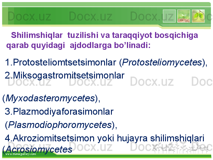 www.themegallery.com    Shilimshiqlar    tuzilishi va taraqqiyot bosqich iga  
qarab q u yida gi   ajdodlarga bo’linadi:
  1. Protosteliomtsetsimonlar   ( Protosteliomycetes ), 
  2.M iksogastromitsetsimonlar                                  
                                               
( Myxodasteromycetes ), 
  3. Plazmodiyaforasimonlar
  ( Plasmodiophoromycetes ),
  4.A kroziomitsetsimon yoki hujayra shilimshiqlari 
( Acrosiomycetes   