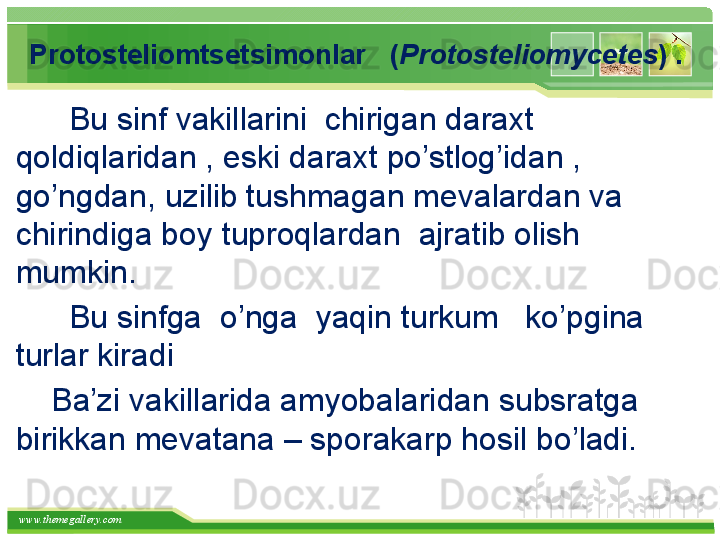 www.themegallery.com   Protosteliomtsetsimonlar     ( Protosteliomycetes )  .
       Bu sinf vakillarini  chirigan daraxt 
qoldiqlaridan , eski daraxt po’stlog’idan , 
go’ngdan, uzilib tushmagan mevalardan va 
chirindiga boy tuproqlardan  ajratib olish 
mumkin.
       Bu sinfga  o’nga  yaqin turkum   ko’pgina 
turlar kiradi
     Ba’zi vakillarida amyobalaridan subsratga 
birikkan mevatana – sporakarp hosil bo’ladi.   