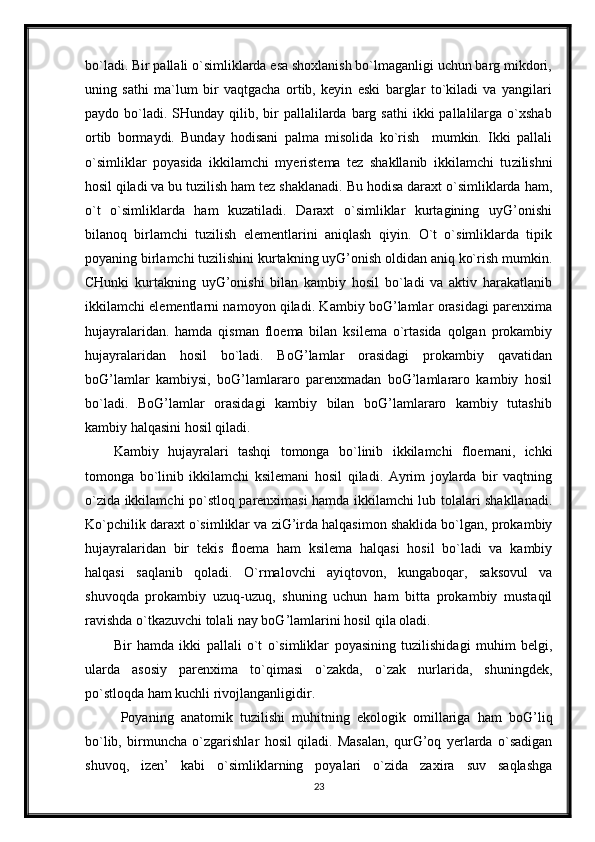 bo`ladi. Bir pallali o`simliklarda esa shoxlanish bo`lmaganligi uchun barg mikdori,
uning   sathi   ma`lum   bir   vaqtgacha   ortib,   keyin   eski   barglar   to`kiladi   va   yangilari
paydo bo`ladi.  SHunday  qilib, bir  pallalilarda  barg  sathi   ikki  pallalilarga  o`xshab
ortib   bormaydi.   Bunday   hodisani   palma   misolida   ko`rish     mumkin.   Ikki   pallali
o`simliklar   poyasida   ikkilamchi   myeristema   tez   shakllanib   ikkilamchi   tu zilishni
hosil qiladi va bu  tuzilish ham tez shaklanadi. Bu hodisa daraxt o`simliklarda ham,
o`t   o`simliklarda   ham   kuzatiladi.   Daraxt   o`simliklar   kurtagining   uyG’onishi
bilanoq   birlamchi   tuzilish   elementlarini   aniqlash   qiyin.   O`t   o`simliklarda   tipik
poyaning birlamchi tuzilishini kurtakning uyG’onish oldidan aniq ko`rish mumkin.
CHunki   kurtakning   uyG’onishi   bilan   kambiy   hosil   bo`ladi   va   aktiv   harakatlanib
ikkilamchi elementlarni namoyon qiladi. Kambiy boG’lamlar orasidagi parenxima
hujayralaridan.   hamda   qisman   floema   bilan   ksilema   o`rtasida   qolgan   prokambiy
hujayralaridan   hosil   bo`ladi.   BoG’lamlar   orasidagi   prokambiy   qavatidan
boG’lamlar   kambiysi,   boG’lamlararo   parenxmadan   boG’lamlararo   kambiy   hosil
bo`ladi.   BoG’lamlar   orasidagi   kambiy   bilan   boG’lamlararo   kambiy   tutashib
kambiy halqasini hosil qiladi.
Kambiy   hujayralari   tashqi   tomonga   bo`linib   ikkilamchi   floemani,   ichki
tomonga   bo`linib   ikkilamchi   ksilemani   hosil   qiladi.   Ayrim   joylarda   bir   vaqtning
o`zida ikkilamchi po`stloq parenximasi hamda ikkilamchi lub tolalari shakllanadi.
Ko`pchilik daraxt o`simliklar va ziG’irda halqasimon shaklida bo`lgan, prokambiy
hujayralaridan   bir   tekis   floema   ham   ksilema   halqasi   hosil   bo`ladi   va   kambiy
halqasi   saqlanib   qoladi.   O`rmalovchi   ayiqtovon,   kungaboqar,   saksovul   va
shuvoqda   prokambiy   uzuq-uzuq,   shuning   uchun   ham   bitta   prokambiy   mustaqil
ravishda o`tkazuvchi tolali nay boG’lamlarini hosil qila oladi.
Bir   hamda   ikki   pallali   o`t   o`simliklar   poyasining   tuzilishidagi   muhim   belgi,
ularda   asosiy   parenxima   to`qimasi   o`zakda,   o`zak   nurlarida,   shuningdek,
po`stloqda ham kuchli rivojlanganligidir.
  Poyaning   anatomik   tuzilishi   muhitning   ekologik   omillariga   ham   boG’liq
bo`lib,   birmuncha   o`zgarishlar   hosil   qiladi.   Masalan,   qurG’oq   yerlarda   o`sadigan
shuvoq,   izen’   kabi   o`simliklarning   poyalari   o`zida   zaxira   suv   saqlashga
23 