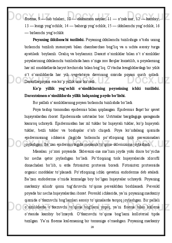 floema; 9 — lub tolalari; 10 — elaksimon naylar; 11 — o‘zak nur; 12 — kambiy;
13 — kuzgi yog‘ochlik; 14 — bahorgi yog‘ochlik; 15 — ikkilamchi yog‘ochlik; 16
— birlamchi yog‘ochlik.
Poyaning ikkilamchi tuzilishi.  Poyaning ikkilamchi tuzilishiga o‘tishi uning
birlamchi   tuzilish   xususiyati   bilan   chambarchas   bog‘liq   va   u   uchta   asosiy   turga
ajratiladi:   boylamli.   Oraliq   va   boylamsiz.   Daraxt   o‘simliklar   bilan   o‘t   o‘simliklar
poyalarining ikkilamchi tuzilishida ham o‘ziga xos farqlar kuzatilib, u poyalarning
har xil muddatlarda hayot kechirishi bilan bog‘liq. O‘rtacha kengliklardagi bir yilik
o‘t   o‘simliklarda   har   yili   vegetatsiya   davrining   oxirida   poyasi   qurib   qoladi.
Daraxtlarpoyasi esa ko‘p yillik umr ko‘radi.
Ko‘p   yillik   yog‘ochli   o‘simliklarning   poyasining   ichki   tuzilishi.
Daraxtsimon o‘simliklarda yillik halqaning paydo bo‘lishi.
Bir pallali o‘simliklarning poyasi birlamchi tuzilishda bo‘ladi. 
Poya  tashqi   tomondan   epidermis   bilan   qoplangan.   Epidermis   faqat   bir   qavat
hujayralardan   iborat.   Epidermisda   ustitsalar   bor.   Ustitsalar   bargdagiga   qaraganda
kamroq   uchraydi.   Epidermisdan   har   xil   tuklar   bir   hujayrali   tuklar,   ko‘p   hujayrali
tuklar,   bezli   tuklar   va   boshqalar   o‘sib   chiqadi.   Poya   ko‘ndalang   qismida
epidermisning   ichkarisi   (tagi)da   birlamchi   po‘stloqning   tirik   parenximalari
joylashgan. Ba’zan epidermis tagida mexanik to‘qima-sklerinxima joylashadi.
Masalan:   jo‘xori   poyasida.   Sklerenxi-ma   ma’lum   joyda   yoki   doira   bo‘yicha
bir   necha   qator   joylashgan   bo‘ladi.   Po‘tloqning   tirik   hujayralarida   xlorofil
donachalari   bo‘lib,   u   erda   fotosintez   protsessi   boradi.   Fotosintez   protsessida
organic   moddalar   to‘planadi.   Po‘stloqning   ichki   qavatini   endoderma   deb   ataladi.
Ba’zan   endoderma   o‘rnida   krxmalga   boy   bo‘lgan   hujayralar   uchraydi.   Poyaning
markaziy   silindr   qismi   tug‘diruvchi   to‘qima   peresikldan   boshlanadi.   Peresikl
poyada bir necha hujayralardan iborat. Peresikl ichkarida, ya’ni poyaning markaziy
qismida o‘tkazuvchi bog‘lamlari asosiy to‘qimalarda tarqoq joylashgan. Bir pallali
o‘simliklarda   o‘tkazuvchi   to‘qima   bog‘lami   yopiq,   ya’ni   floema   bilan   ksilema
o‘rtasida   kambiy   bo‘lmaydi.   O‘tkazuvchi   to‘qima   bog‘lami   kolloterial   tipda
tuzilgan.   Ya’ni   floema   ksilemaning   bir   tomoniga   o‘rnashgan.   Poyaning   markaziy
28