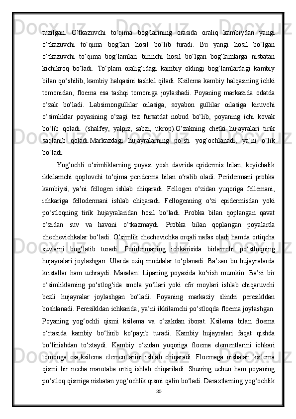 tuzilgan.   O‘tkazuvchi   to‘qima   bog‘larining   orasida   oraliq   kambiydan   yangi
o‘tkazuvchi   to‘qima   bog‘lari   hosil   bo‘lib   turadi.   Bu   yangi   hosil   bo‘lgan
o‘tkazuvchi   to‘qima   bog‘lamlari   birinchi   hosil   bo‘lgan   bog‘lamlarga   nisbatan
kichikroq   bo‘ladi.   To‘plam   oralig‘idagi   kambiy   oldingi   bog‘lamlardagi   kambiy
bilan qo‘shilib, kambiy halqasini tashkil qiladi. Ksilema kambiy halqasining ichki
tomonidan,   floema   esa   tashqi   tomoniga   joylashadi.   Poyaning   markazida   odatda
o‘zak   bo‘ladi.   Labsimongullilar   oilasiga,   soyabon   gullilar   oilasiga   kiruvchi
o‘simliklar   poyasining   o‘zagi   tez   fursatdat   nobud   bo‘lib,   poyaning   ichi   kovak
bo‘lib   qoladi.   (shalfey,   yalpiz,   sabzi,   ukrop).O‘zakning   chetki   hujayralari   tirik
saqlanib   qoladi.Markazdagi   hujayralarning   po‘sti   yog‘ochlanadi,   ya’ni   o‘lik
bo‘ladi. 
Yog‘ochli   o‘simliklarning   poyasi   yosh   davrida   epidermis   bilan,   keyichalik
ikkilamchi   qoplovchi   to‘qima   periderma   bilan   o‘ralib   oladi.   Peridermani   probka
kambiysi,   ya’ni   fellogen   ishlab   chiqaradi.   Fellogen   o‘zidan   yuqoriga   fellemani,
ichkariga   fellodermani   ishlab   chiqaradi.   Fellogenning   o‘zi   epidermisdan   yoki
po‘stloqning   tirik   hujayralaridan   hosil   bo‘ladi.   Probka   bilan   qoplangan   qavat
o‘zidan   suv   va   havoni   o‘tkazmaydi.   Probka   bilan   qoplangan   poyalarda
chechevichkalar bo‘ladi. O‘simlik chechevichka orqali nafas oladi hamda ortiqcha
suvlarni   bug‘latib   turadi.   Peridermaning   ichkarisida   birlamchi   po‘stloqning
hujayralari   joylashgan.   Ularda   oziq   moddalar   to‘planadi.   Ba’zan   bu   hujayralarda
kristallar   ham   uchraydi.   Masalan:   Lipaning   poyasida   ko‘rish   mumkin.   Ba’zi   bir
o‘simliklarning   po‘stlog‘ida   smola   yo‘llari   yoki   efir   moylari   ishlab   chiqaruvchi
bezli   hujayralar   joylashgan   bo‘ladi.   Poyaning   markaziy   slindri   peresikldan
boshlanadi. Peresikldan ichkarida, ya’ni ikkilamchi po‘stloqda floema joylashgan.
Poyaning   yog‘ochli   qismi   ksilema   va   o‘zakdan   iborat.   Ksilema   bilan   floema
o‘rtasida   kambiy   bo‘linib   ko‘payib   turadi.   Kambiy   hujayralari   faqat   qishda
bo‘linishdan   to‘xtaydi.   Kambiy   o‘zidan   yuqoriga   floema   elementlarini   ichkari
tomonga   esa,ksilema   elementlarini   ishlab   chiqaradi.   Floemaga   nisbatan   ksilema
qismi   bir   necha   marotaba   ortiq   ishlab   chiqariladi.   Shuning   uchun   ham   poyaning
po‘stloq qismiga nisbatan yog‘ochlik qismi qalin bo‘ladi. Daraxtlarning yog‘ochlik
30 