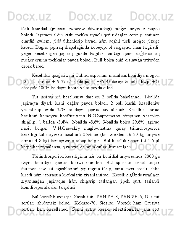 túsli   konidial   (jinissiz   kwbeyiw   dáwirindeǵi)   mo	ǵ�or   miywesi   payda
boladi. Japiraqti aldin kishi tochka siyaqli qońir da	
ǵ�lar korinip, sońinan
olardiń   kwlemi   júdá   úlkenlesip   baradi   hám   aqshil   túsli   mo	
ǵ�or   júze	ǵe
keledi. Da	
ǵ�lar japiraq shapala	ǵ�inda kobeyip, ol sar	ǵ�ayadi hám tw	ǵiledi.
ye	
ǵer   kesellen	ǵen   japiraq  	ǵúzde   tw	ǵilse,   onda	ǵ�i   qońir   da	ǵ�larda   aq
mo	
ǵ�or ornina tochkalar payda boladi. Bull bolsa oniń qislaw	ǵ�a wtiwden
derek beredi. 
Kesellikti qoz	
ǵ�atiwshi Culindrosporium maculans konidiya mo	ǵ�ori
20 saat ishinde  +19-27 dárejede jaqsi, +35-37 dárejede bolsa kwp, +27
dárejede 100% ke deyin konidiyalar payda qiladi. 
Tut   japira	
ǵ�iniń   keselleniw   dárejesi   3   ballda   bahalanadi.   1-ballda
japiraqta   diyarli   kishi   da	
ǵ�lar   payda   boladi.   2   ball   kúshli   keselleniw
yesaplanip,   onda   25%   ke   deyin   japiraq   ziyanlanadi.   Kesellik   japiraq
hasiliniń   kemeyiw   koeffitsiyenti   N.G.Zaprometov   tárepinen   yesaplap
shi	
ǵ�ilip,   1   ballda   -3,4%,   2-ballda   -8,6%   3-ballda   bolsa   29,6%   japiraq
nabit   bol	
ǵ�an.   V.N.Gaevskiy   ma	ǵ�liwmatina   qaray   tsilindrosporioz
keselli	
ǵi   tut   miywesi   hasiliniń   55%   ne   (bir   terekten   16-20   k	ǵ  miywe
ornina 4-8 k	
ǵ) kemeyiwine sebep bol	ǵ�an. Bul kesellik penen tut 4-5 jil
ketpe-ket ziyanlansa, quwrawi da múmkinli	
ǵi kwrsetil	ǵen.
TSilindrosporioz keselli	
ǵiniń hár bir konidial miywesinde 2000 	ǵ�a
deyin   konidiya   sporasi   boliwi   múmkin.   Bul   sporalar   samal   arqali
átirapqa   saw   tut   a	
ǵ�ashlariniń   japira	ǵ�ina   túsip,   oniń   awzi   arqali   ishke
kiredi hám japiraqtiń kletkalarin ziyanlantiradi. Kesellik 	
ǵÚzde tw	ǵilǵen
ziyanlan	
ǵ�an   japiraqlar   hám   shi	ǵ�arip   taslan	ǵ�an   jipek   qurti   taslandi
konidiosporalardan tarqaladi.
Bul   kesellik   ayniqsa   Xasak   tuti,   SANISH-3,   SANISH-5,   Djir   tut
sortlari   shidamsiz   boladi.   Kokuso-70,   Sioziso,   Vostok   hám   Gruziya
sortlari   kem   kesellenedi.   Sonni   aytiw   kerek,   selektsionerler   jańa   sort 