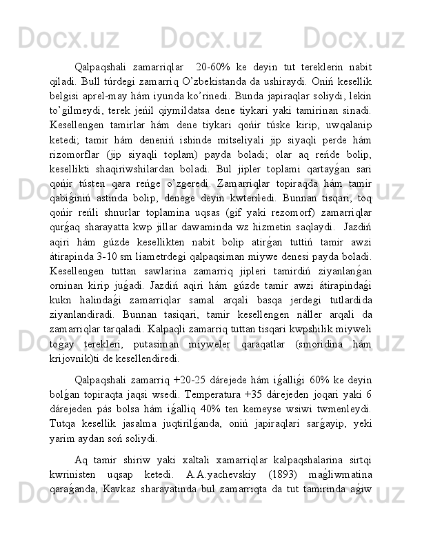 Qalpaqshali   zamarriqlar     20-60%   ke   deyin   tut   tereklerin   nabit
qiladi.  Bull  túrdeǵi  zamarriq  O’zbekistanda  da ushiraydi.  Oniń kesellik
bel	
ǵisi  aprel-may hám iyunda ko’rinedi.  Bunda japiraqlar  soliydi,  lekin
to’
ǵilmeydi,   terek   jeńil   qiymildatsa   dene   tiykari   yaki   tamirinan   sinadi.
Kesellen	
ǵen   tamirlar   hám   dene   tiykari   qońir   túske   kirip,   uwqalanip
ketedi;   tamir   hám   deneniń   ishinde   mitseliyali   jip   siyaqli   perde   hám
rizomorflar   (jip   siyaqli   toplam)   payda   boladi;   olar   aq   reńde   bolip,
kesellikti   shaqiriwshilardan   boladi.   Bul   jipler   toplami   qartay	
ǵ�an   sari
qońir   tústen   qara   reń	
ǵe   o’z	ǵeredi.   Zamarriqlar   topiraqda   hám   tamir
qabi	
ǵ�iniń   astinda   bolip,   dene	ǵe   deyin   kwteriledi.   Bunnan   tisqari,   toq
qońir   reńli   shnurlar   toplamina   uqsas   (	
ǵif   yaki   rezomorf)   zamarriqlar
qur	
ǵ�aq   sharayatta   kwp   jillar   dawaminda   wz   hizmetin   saqlaydi.     Jazdiń
aqiri   hám  	
ǵúzde   kesellikten   nabit   bolip   atir	ǵ�an   tuttiń   tamir   awzi
átirapinda 3-10 sm liametrde	
ǵi qalpaqsiman miywe denesi payda boladi.
Kesellen	
ǵen   tuttan   sawlarina   zamarriq   jipleri   tamirdiń   ziyanlan	ǵ�an
orninan   kirip   ju	
ǵ�adi.   Jazdiń   aqiri   hám  	ǵúzde   tamir   awzi   átirapinda	ǵ�i
kukn   halinda	
ǵ�i   zamarriqlar   samal   arqali   basqa   jerde	ǵi   tutlardida
ziyanlandiradi.   Bunnan   tasiqari,   tamir   kesellen	
ǵen   náller   arqali   da
zamarriqlar tarqaladi. Kalpaqli zamarriq tuttan tisqari kwpshilik miyweli
to	
ǵ�ay   terekleri,   putasiman   miyweler   qaraqatlar   (smoridina   hám
krijovnik)ti de kesellendiredi. 
Qalpaqshali   zamarriq   +20-25  dárejede   hám   i	
ǵ�alli	ǵ�i   60%   ke  deyin
bol	
ǵ�an   topiraqta   jaqsi   wsedi.   Temperatura   +35   dárejeden   joqari   yaki   6
dárejeden   pás   bolsa   hám   i	
ǵ�alliq   40%   ten   kemeyse   wsiwi   twmenleydi.
Tutqa   kesellik   jasalma   juqtiril	
ǵ�anda,   oniń   japiraqlari   sar	ǵ�ayip,   yeki
yarim aydan soń soliydi.
Aq   tamir   shiriw   yaki   xaltali   xamarriqlar   kalpaqshalarina   sirtqi
kwrinisten   uqsap   ketedi.   A.A.yachevskiy   (1893)   ma
ǵ�liwmatina
qara	
ǵ�anda,   Kavkaz   sharayatinda   bul   zamarriqta   da   tut   tamirinda   a	ǵ�iw 