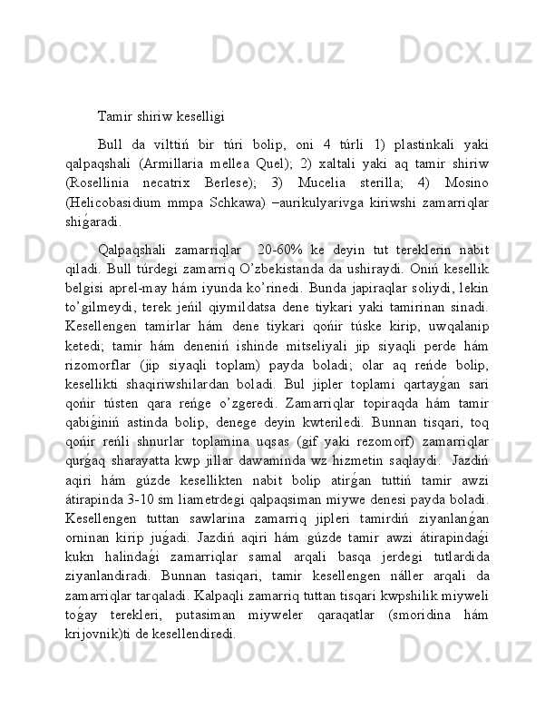 Tamir shiriw keselliǵi
Bull   da   vilttiń   bir   túri   bolip,   oni   4   túrli   1)   plastinkali   yaki
qalpaqshali   (Armillaria   mellea   Quel);   2)   xaltali   yaki   aq   tamir   shiriw
(Rosellinia   necatrix   Berlese);   3)   Mucelia   sterilla;   4)   Mosino
(Helicobasidium   mmpa   Schkawa)   –aurikulyariv	
ǵa   kiriwshi   zamarriqlar
shi	
ǵ�aradi.
Qalpaqshali   zamarriqlar     20-60%   ke   deyin   tut   tereklerin   nabit
qiladi.  Bull  túrde	
ǵi  zamarriq  O’zbekistanda  da ushiraydi.  Oniń kesellik
bel	
ǵisi  aprel-may hám iyunda ko’rinedi.  Bunda japiraqlar  soliydi,  lekin
to’
ǵilmeydi,   terek   jeńil   qiymildatsa   dene   tiykari   yaki   tamirinan   sinadi.
Kesellen	
ǵen   tamirlar   hám   dene   tiykari   qońir   túske   kirip,   uwqalanip
ketedi;   tamir   hám   deneniń   ishinde   mitseliyali   jip   siyaqli   perde   hám
rizomorflar   (jip   siyaqli   toplam)   payda   boladi;   olar   aq   reńde   bolip,
kesellikti   shaqiriwshilardan   boladi.   Bul   jipler   toplami   qartay	
ǵ�an   sari
qońir   tústen   qara   reń	
ǵe   o’z	ǵeredi.   Zamarriqlar   topiraqda   hám   tamir
qabi	
ǵ�iniń   astinda   bolip,   dene	ǵe   deyin   kwteriledi.   Bunnan   tisqari,   toq
qońir   reńli   shnurlar   toplamina   uqsas   (	
ǵif   yaki   rezomorf)   zamarriqlar
qur	
ǵ�aq   sharayatta   kwp   jillar   dawaminda   wz   hizmetin   saqlaydi.     Jazdiń
aqiri   hám  	
ǵúzde   kesellikten   nabit   bolip   atir	ǵ�an   tuttiń   tamir   awzi
átirapinda 3-10 sm liametrde	
ǵi qalpaqsiman miywe denesi payda boladi.
Kesellen	
ǵen   tuttan   sawlarina   zamarriq   jipleri   tamirdiń   ziyanlan	ǵ�an
orninan   kirip   ju	
ǵ�adi.   Jazdiń   aqiri   hám  	ǵúzde   tamir   awzi   átirapinda	ǵ�i
kukn   halinda	
ǵ�i   zamarriqlar   samal   arqali   basqa   jerde	ǵi   tutlardida
ziyanlandiradi.   Bunnan   tasiqari,   tamir   kesellen	
ǵen   náller   arqali   da
zamarriqlar tarqaladi. Kalpaqli zamarriq tuttan tisqari kwpshilik miyweli
to	
ǵ�ay   terekleri,   putasiman   miyweler   qaraqatlar   (smoridina   hám
krijovnik)ti de kesellendiredi.  