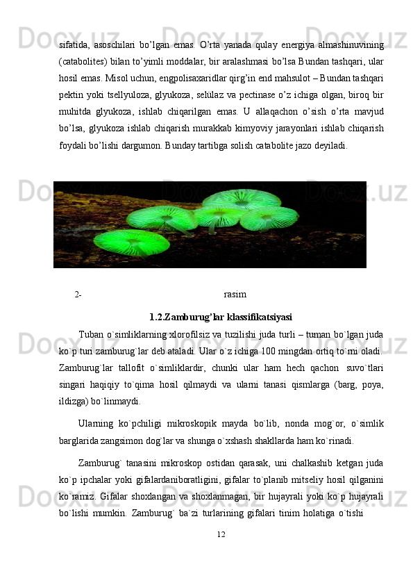 12sifatida,   asoschilari   bo’lgan   emas.   O’rta   yanada   qulay   energiya   almashinuvining
(catabolites) bilan to’yimli moddalar, bir aralashmasi bo’lsa Bundan tashqari, ular
hosil emas. Misol uchun, engpolisaxaridlar qirg’in end mahsulot – Bundan tashqari
pektin yoki tsellyuloza, glyukoza, selülaz va pectinase o’z ichiga olgan, biroq bir
muhitda   glyukoza,   ishlab   chiqarilgan   emas.   U   allaqachon   o’sish   o’rta   mavjud
bo’lsa,  glyukoza ishlab  chiqarish  murakkab  kimyoviy jarayonlari  ishlab chiqarish
foydali   bo’lishi   dargumon.   Bunday   tartibga   solish   catabolite   jazo   deyiladi.
2- rasim
1.2.Zamburug’lar   klassifikatsiyasi
Tuban o`simliklarning xlorofilsiz va tuzilishi juda turli – tuman bo`lgan juda
ko`p turi zamburug`lar deb ataladi. Ular o`z ichiga 100 mingdan ortiq to`rni oladi.
Zamburug`lar   tallofit   o`simliklardir,   chunki   ular   ham   hech   qachon   suvo`tlari
singari   haqiqiy   to`qima   hosil   qilmaydi   va   ularni   tanasi   qismlarga   (barg,   poya,
ildizga)   bo`linmaydi.
Ularning   ko`pchiligi   mikroskopik   mayda   bo`lib,   nonda   mog`or,   o`simlik
barglarida   zangsimon   dog`lar   va   shunga o`xshash   shakllarda   ham   ko`rinadi.
Zamburug`   tanasini   mikroskop   ostidan   qarasak,   uni   chalkashib   ketgan   juda
ko`p   ipchalar   yoki   gifalardaniboratligini,   gifalar   to`planib   mitseliy   hosil   qilganini
ko`ramiz.   Gifalar   shoxlangan   va   shoxlanmagan,   bir   hujayrali   yoki   ko`p   hujayrali
bo`lishi   mumkin.   Zamburug`   ba`zi   turlarining   gifalari   tinim   holatiga   o`tishi