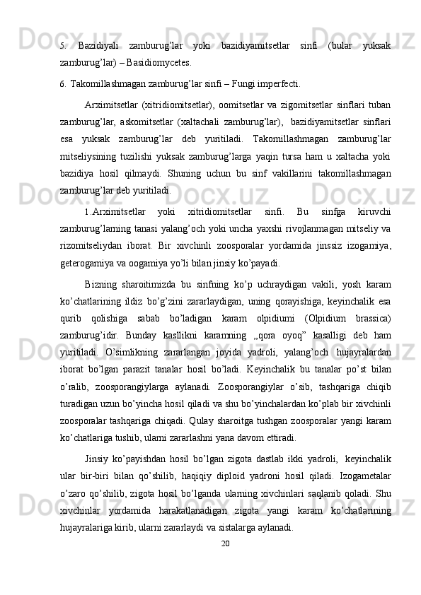 205. Bazidiyali zamburug’lar yoki bazidiyamitsetlar sinfi (bular yuksak
zamburug’lar)   –   Basidiomycetes.
6. Takomillashmagan   zamburug’lar   sinfi   –   Fungi imperfecti.
Arximitsetlar   (xitridiomitsetlar),   oomitsetlar   va   zigomitsetlar   sinflari   tuban
zamburug’lar,   askomitsetlar   (xaltachali   zamburug’lar),   bazidiyamitsetlar   sinflari
esa   yuksak   zamburug’lar   deb   yuritiladi.   Takomillashmagan   zamburug’lar
mitseliysining   tuzilishi   yuksak   zamburug’larga   yaqin   tursa   ham   u   xaltacha   yoki
bazidiya   hosil   qilmaydi.   Shuning   uchun   bu   sinf   vakillarini   takomillashmagan
zamburug’lar   deb   yuritiladi.
1. Arximitsetlar   yoki   xitridiomitsetlar   sinfi.   Bu   sinfga   kiruvchi
zamburug’larning tanasi  yalang’och yoki uncha yaxshi  rivojlanmagan mitseliy va
rizomitseliydan   iborat.   Bir   xivchinli   zoosporalar   yordamida   jinssiz   izogamiya,
geterogamiya   va   oogamiya   yo’li   bilan   jinsiy   ko’payadi.
Bizning   sharoitimizda   bu   sinfning   ko’p   uchraydigan   vakili,   yosh   karam
ko’chatlarining   ildiz   bo’g’zini   zararlaydigan,   uning   qorayishiga,   keyinchalik   esa
qurib   qolishiga   sabab   bo’ladigan   karam   olpidiumi   (Olpidium   brassica)
zamburug’idir.   Bunday   kasllikni   karamning   ,,qora   oyoq”   kasalligi   deb   ham
yuritiladi.   O’simlikning   zararlangan   joyida   yadroli,   yalang’och   hujayralardan
iborat   bo’lgan   parazit   tanalar   hosil   bo’ladi.   Keyinchalik   bu   tanalar   po’st   bilan
o’ralib,   zoosporangiylarga   aylanadi.   Zoosporangiylar   o’sib,   tashqariga   chiqib
turadigan uzun bo’yincha hosil qiladi va shu bo’yinchalardan ko’plab bir xivchinli
zoosporalar   tashqariga  chiqadi.  Qulay   sharoitga  tushgan  zoosporalar   yangi   karam
ko’chatlariga   tushib,   ularni   zararlashni yana   davom   ettiradi.
Jinsiy   ko’payishdan   hosil   bo’lgan   zigota   dastlab   ikki   yadroli,   keyinchalik
ular   bir-biri   bilan   qo’shilib,   haqiqiy   diploid   yadroni   hosil   qiladi.   Izogametalar
o’zaro   qo’shilib,   zigota   hosil   bo’lganda   ularning   xivchinlari   saqlanib   qoladi.   Shu
xivchinlar   yordamida   harakatlanadigan   zigota   yangi   karam   ko’chatlarining
hujayralariga kirib,   ularni   zararlaydi   va   sistalarga   aylanadi. 