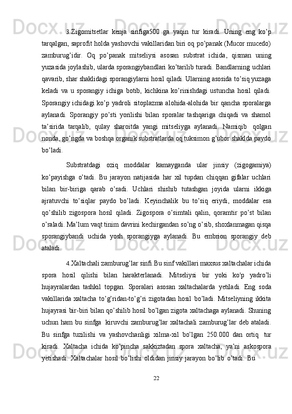 223. Zigomitsetlar   kenja   sinfiga500   ga   yaqin   tur   kiradi.   Uning   eng   ko’p
tarqalgan, saprofit holda yashovchi vakillaridan biri oq po’panak (Mucor mucedo)
zamburug’idir.   Oq   po’panak   mitseliysi   asosan   substrat   ichida,   qisman   uning
yuzasida joylashib, ularda sporangiybandlari ko’tarilib turadi. Bandlarning uchlari
qavarib, shar shaklidagi sporangiylarni hosil qiladi. Ularning asosida to’siq yuzaga
keladi   va   u   sporangiy   ichiga   botib,   kichkina   ko’rinishdagi   ustuncha   hosil   qiladi.
Sporangiy ichidagi  ko’p yadroli sitoplazma alohida-alohida bir qancha sporalarga
aylanadi.   Sporangiy   po’sti   yorilishi   bilan   sporalar   tashqariga   chiqadi   va   shamol
ta’sirida   tarqalib,   qulay   sharoitda   yangi   mitseliyga   aylanadi.   Namiqib   qolgan
nonda, go’ngda va boshqa organik substratlarda oq tuksimon g’ubor shaklda paydo
bo’ladi.
Substratdagi   oziq   moddalar   kamayganda   ular   jinsiy   (zigogamiya)
ko’payishga   o’tadi.   Bu   jarayon   natijasida   har   xil   tupdan   chiqqan   gifalar   uchlari
bilan   bir-biriga   qarab   o’sadi.   Uchlari   shishib   tutashgan   joyida   ularni   ikkiga
ajratuvchi   to’siqlar   paydo   bo’ladi.   Keyinchalik   bu   to’siq   eriydi,   moddalar   esa
qo’shilib   zigospora   hosil   qiladi.   Zigospora   o’simtali   qalin,   qoramtir   po’st   bilan
o’raladi. Ma’lum vaqt tinim davrini kechirgandan so’ng o’sib, shoxlanmagan qisqa
sporangiybandi   uchida   yosh   sporangiyga   aylanadi.   Bu   embrion   sporangiy   deb
ataladi.
4. Xaltachali zamburug’lar sinfi.Bu sinf vakillari maxsus xaltachalar ichida
spora   hosil   qilishi   bilan   harakterlanadi.   Mitseliysi   bir   yoki   ko'p   yadro’li
hujayralardan   tashkil   topgan.   Sporalari   asosan   xaltachalarda   yetiladi.   Eng   soda
vakillarida   xaltacha   to’g’ridan-to’g’ri   zigotadan   hosil   bo’ladi.   Mitseliyning   ikkita
hujayrasi bir-biri bilan qo’shilib hosil bo’lgan zigota xaltachaga aylanadi. Shuning
uchun  ham  bu  sinfga   kiruvchi  zamburug’lar  xaltachali   zamburug’lar   deb  ataladi.
Bu   sinfga   tuzilishi   va   yashovchanligi   xilma-xil   bo’lgan   250.000   dan   ortiq   tur
kiradi.   Xaltacha   ichida   ko’pincha   sakkiztadan   spora   xaltacha,   ya’ni   askospora
yetishadi.   Xaltachalar   hosil   bo’lishi   oldidan   jinsiy   jarayon   bo’lib   o’tadi.   Bu 