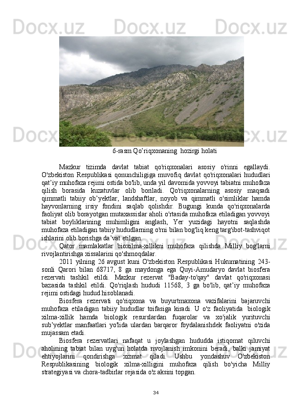 6-rasm Qo’riqxonaning  hozirgi holati
Mazkur   tizimda   davlat   tabiat   qo'riqxonalari   asosiy   o'rinni   egallaydi.
O'zbekiston   Respublikasi   qonunchiligiga   muvofiq   davlat   qo'riqxonalari   hududlari
qat’iy muhofaza rejimi ostida bo'lib, unda yil davomida yovvoyi tabiatni muhofaza
qilish   borasida   kuzatuvlar   olib   boriladi.   Qo'riqxonalarning   asosiy   maqsadi
qimmatli   tabiiy   ob’yektlar,   landshaftlar,   noyob   va   qimmatli   o'simliklar   hamda
hayvonlarning   irsiy   fondini   saqlab   qolishdir.   Bugungi   kunda   qo'riqxonalarda
faoliyat olib borayotgan mutaxassislar aholi o'rtasida muhofaza etiladigan yovvoyi
tabiat   boyliklarining   muhimligini   anglash,   Yer   yuzidagi   hayotni   saqlashda
muhofaza etiladigan tabiiy hududlarning o'rni bilan bog'liq keng targ'ibot-tashviqot
ishlarini olib borishga da’vat etilgan.
Qator   mamlakatlar   bioxilma-xillikni   muhofaza   qilishda   Milliy   bog'larni
rivojlantirishga xissalarini qo'shmoqdalar.
2011   yilning   26   avgust   kuni   O'zbekiston   Respublikasi   Hukumatining   243-
sonli   Qarori   bilan   68717,   8   ga   maydonga   ega   Quyi-Amudaryo   davlat   biosfera
rezervati   tashkil   etildi.   Mazkur   rezervat   "Baday-to'qay"   davlat   qo'riqxonasi
bazasida   tashkil   etildi.   Qo'riqlash   hududi   11568,   3   ga   bo'lib,   qat’iy   muhofaza
rejimi ostidagi hudud hisoblanadi.
Biosfera   rezervati   qo'riqxona   va   buyurtmaxona   vazifalarini   bajaruvchi
muhofaza   etiladigan   tabiiy   hududlar   toifasiga   kiradi.   U   o'z   faoliyatida     biologik
xilma-xillik   hamda   biologik   resurslardan   fuqarolar   va   xo'jalik   yurituvchi
sub’yektlar   manfaatlari   yo'lida   ulardan   barqaror   foydalanishdek   faoliyatni   o'zida
mujassam etadi.
Biosfera   rezervatlari   nafaqat   u   joylashgan   hududda   istiqomat   qiluvchi
aholining   tabiat   bilan   uyg'un   holatda   rivojlanish   imkonini   beradi,   balki   jamiyat
ehtiyojlarini   qondirishga   xizmat   qiladi.   Ushbu   yondashuv   O'zbekiston
Respublikasining   biologik   xilma-xilligini   muhofaza   qilish   bo'yicha   Milliy
strategiyasi va chora-tadbirlar rejasida o'z aksini topgan.
34 