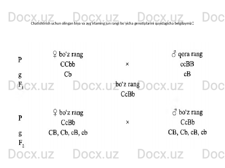 Chatishtirish uchun olingan biya va ayg‘irlaming jun rangi bo‘yicha genotiplarini quyidagicha belgilaymiz : 