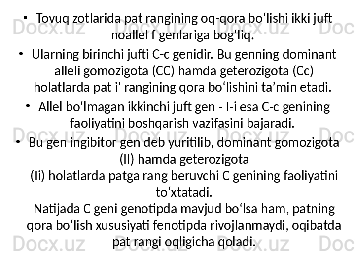 •
Tovuq zotlarida pat rangining oq-qora bo‘lishi ikki juft 
noallel f genlariga bog‘liq. 
•
Ularning birinchi jufti C-c genidir. Bu genning dominant 
alleli gomozigota (CC) hamda geterozigota (Cc) 
holatlarda pat i' rangining qora bo‘lishini ta’min etadi. 
•
Allel bo‘lmagan ikkinchi juft gen - I-i esa C-c genining 
faoliyatini boshqarish vazifasini bajaradi. 
•
Bu gen ingibitor gen deb yuritilib, dominant gomozigota 
(II) hamda geterozigota
(Ii) holatlarda patga rang beruvchi  С  genining faoliyatini 
to‘xtatadi.
Natijada  С  geni genotipda mavjud bo‘lsa ham, patning 
qora bo‘lish xususiyati fenotipda rivojlanmaydi, oqibatda 
pat rangi oqligicha qoladi. 