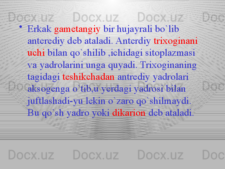 •
Erkak  gametangiy  bir hujayrali bo`lib 
anterediy deb ataladi. Anterdiy  trixoginani 
uchi  bilan qo`shilib ,ichidagi sitoplazmasi 
va yadrolarini unga quyadi. Trixoginaning 
tagidagi  teshikchadan  antrediy yadrolari 
aksogenga o`tib,u yerdagi yadrosi bilan 
juftlashadi-yu lekin o`zaro qo`shilmaydi. 
Bu qo`sh yadro yoki  dikarion  deb ataladi.  