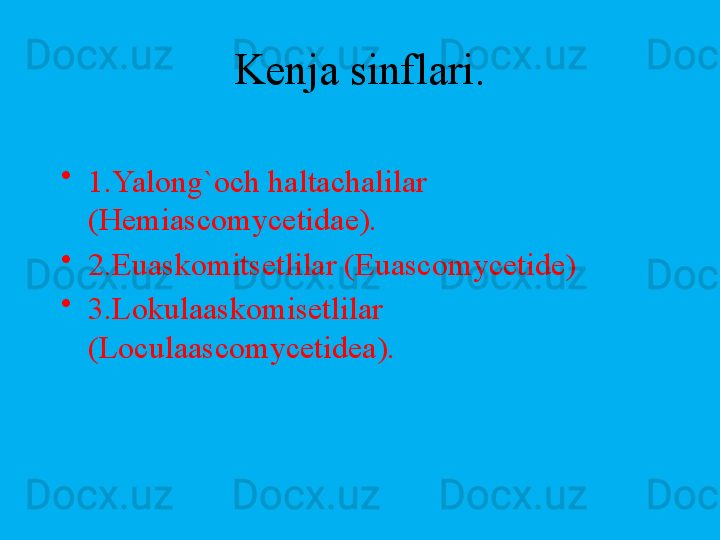 Kenja sinflari.
•
1.Yalong`och haltachalilar 
(Hemiascomycetidae).
•
2.Euaskomitsetlilar (Euascomycetide)
•
3.Lokulaaskomisetlilar 
(Loculaascomycetidea).