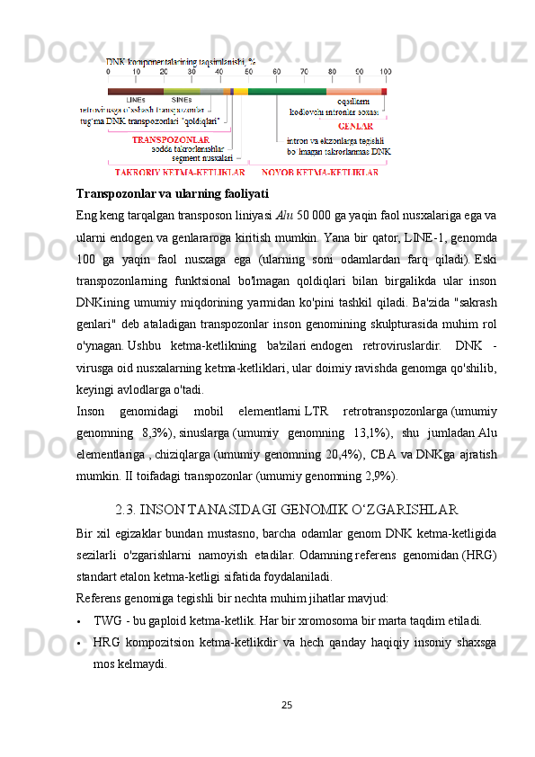 Transpozonlar va	 ularning	 faoliyati
Eng keng tarqalgan transposon liniyasi   Alu   50 000 ga yaqin faol nusxalariga ega va
ularni endogen va genlararoga kiritish mumkin.   Yana bir qator, LINE-1, genomda
100   ga   yaqin   faol   nusxaga   ega   (ularning   soni   odamlardan   farq   qiladi).   Eski
transpozonlarning   funktsional   bo'lmagan   qoldiqlari   bilan   birgalikda   ular   inson
DNKining   umumiy   miqdorining   yarmidan   ko'pini   tashkil   qiladi.   Ba'zida   "sakrash
genlari"   deb   ataladigan   transpozonlar   inson   genomining   skulpturasida   muhim   rol
o'ynagan.   Ushbu   ketma-ketlikning   ba'zilari   endogen   retroviruslardir.     DNK   -
virusga oid nusxalarning ketma-ketliklari, ular doimiy ravishda genomga qo'shilib,
keyingi avlodlarga o'tadi.
Inson   genomidagi   mobil   elementlarni   LTR   retrotranspozonlarga   (umumiy
genomning   8,3%),   sinuslarga   (umumiy   genomning   13,1%),   shu   jumladan   Alu
elementlariga   ,   chiziqlarga   (umumiy   genomning   20,4%),   CBA   va   DNKga   ajratish
mumkin. II toifadagi transpozonlar   (umumiy genomning 2,9%).
2.3. INSON TANASIDAGI GENOMIK O‘ZGARISHLAR
Bir   xil   egizaklar   bundan   mustasno,   barcha   odamlar   genom   DNK   ketma-ketligida
sezilarli   o'zgarishlarni   namoyish   etadilar.   Odamning   referens   genomidan   (HRG)
standart etalon ketma-ketligi sifatida foydalaniladi.
Referens genomiga tegishli bir nechta muhim jihatlar mavjud:
 TWG - bu gaploid ketma-ketlik.   Har bir xromosoma bir marta taqdim etiladi.
 HRG   kompozitsion   ketma-ketlikdir   va   hech   qanday   haqiqiy   insoniy   shaxsga
mos kelmaydi.
25 