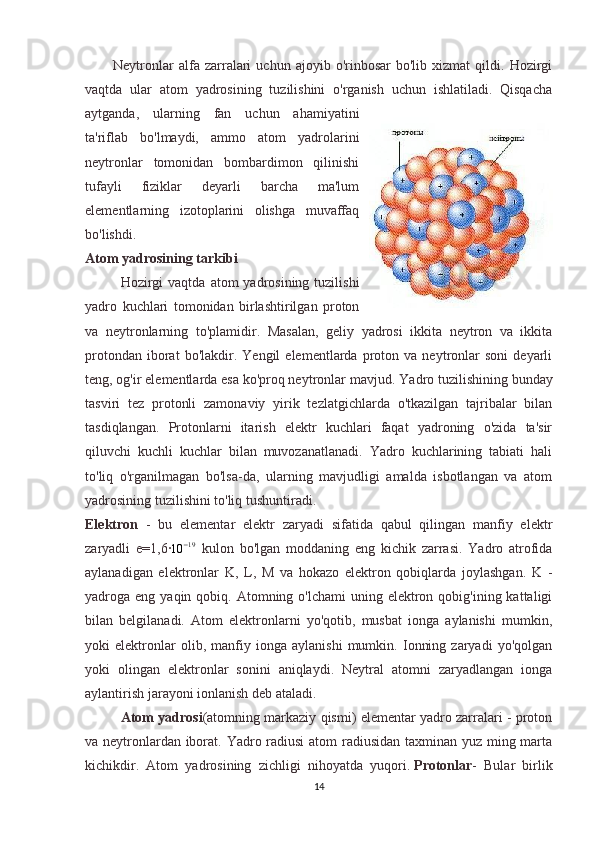 Neytronlar   alfa   zarralari   uchun  ajoyib   o'rinbosar   bo'lib   xizmat   qildi.   Hozirgi
vaqtda   ular   atom   yadrosining   tuzilishini   o'rganish   uchun   ishlatiladi.   Qisqacha
aytganda,   ularning   fan   uchun   ahamiyatini
ta'riflab   bo'lmaydi,   ammo   atom   yadrolarini
neytronlar   tomonidan   bombardimon   qilinishi
tufayli   fiziklar   deyarli   barcha   ma'lum
elementlarning   izotoplarini   olishga   muvaffaq
bo'lishdi.
Atom   yadrosining   tarkibi
  Hozirgi   vaqtda   atom   yadrosining   tuzilishi
yadro   kuchlari   tomonidan   birlashtirilgan   proton
va   neytronlarning   to ' plamidir .   Masalan,   geliy   yadrosi   ikkita   neytron   va   ikkita
protondan   iborat   bo'lakdir.  Yengil   elementlarda   proton   va  neytronlar   soni   deyarli
teng, og'ir elementlarda esa ko'proq neytronlar mavjud.  Yadro tuzilishining bunday
tasviri   tez   protonli   zamonaviy   yirik   tezlatgichlarda   o'tkazilgan   tajribalar   bilan
tasdiqlangan.   Protonlarni   itarish   elektr   kuchlari   faqat   yadroning   o'zida   ta'sir
qiluvchi   kuchli   kuchlar   bilan   muvozanatlanadi.   Yadro   kuchlarining   tabiati   hali
to'liq   o'rganilmagan   bo'lsa-da,   ularning   mavjudligi   amalda   isbotlangan   va   atom
yadrosining tuzilishini to'liq tushuntiradi.  
Elektron   -   bu   elementar   elektr   zaryadi   sifatida   qabul   qilingan   manfiy   elektr
zaryadli   e=1,6·
10 − 19
  kulon   bo'lgan   moddaning   eng   kichik   zarrasi.   Yadro   atrofida
aylanadigan   elektronlar   K,   L,   M   va   hokazo   elektron   qobiqlarda   joylashgan.   K   -
yadroga eng  yaqin qobiq.  Atomning o'lchami  uning elektron  qobig'ining kattaligi
bilan   belgilanadi.   Atom   elektronlarni   yo'qotib,   musbat   ionga   aylanishi   mumkin,
yoki   elektronlar   olib,   manfiy   ionga   aylanishi   mumkin.   Ionning   zaryadi   yo'qolgan
yoki   olingan   elektronlar   sonini   aniqlaydi.   Neytral   atomni   zaryadlangan   ionga
aylantirish jarayoni ionlanish deb ataladi.
  Atom yadrosi (atomning markaziy qismi) elementar yadro zarralari - proton
va neytronlardan iborat. Yadro radiusi atom radiusidan taxminan yuz ming marta
kichikdir.   Atom   yadrosining   zichligi   nihoyatda   yuqori.   Protonlar -   Bular   birlik
14 