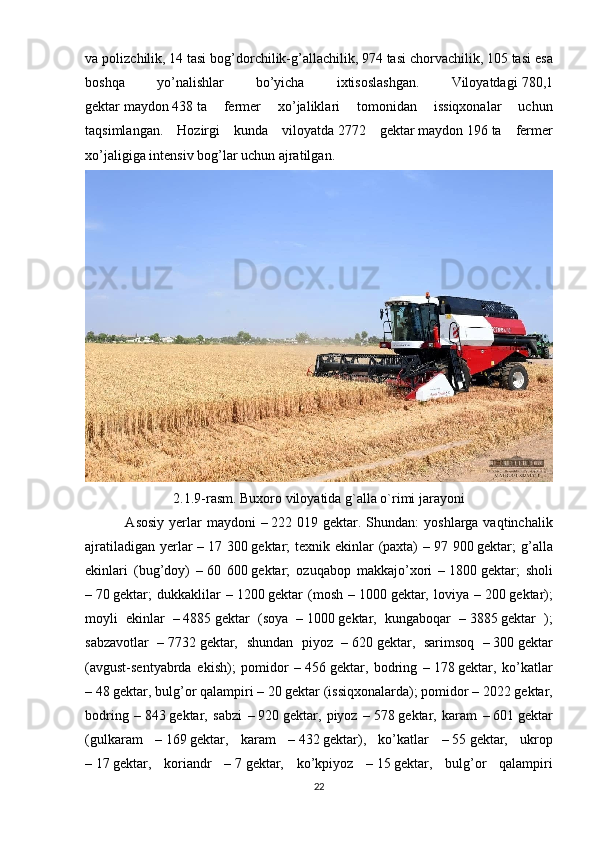 va polizchilik,   14   tasi bog’dorchilik-g’allachilik,   974   tasi chorvachilik,   105   tasi esa
boshqa   yo’nalishlar   bo’yicha   ixtisoslashgan.   Viloyatdagi   780,1
gektar   maydon   438   ta   fermer   xo’jaliklari   tomonidan   issiqxonalar   uchun
taqsimlangan.   Hozirgi   kunda   viloyatda   2772   gektar   maydon   196   ta   fermer
xo’jaligiga intensiv bog’lar uchun ajratilgan.
2.1.9-rasm. Buxoro viloyatida g`alla o`rimi jarayoni
  Asosiy  yerlar  maydoni  –   222 019 gektar . Shundan:  yoshlarga vaqtinchalik
ajratiladigan yerlar –   17 300   gektar; texnik ekinlar  (paxta)  –   97 900   gektar; g’alla
ekinlari   (bug’doy)   –   60   600   gektar;   ozuqabop   makkajo’xori   –   1800   gektar;   sholi
–   70   gektar;   dukkaklilar   –   1200   gektar   (mosh   –   1000   gektar,   loviya   –   200   gektar);
moyli   ekinlar   –   4885   gektar   (soya   –   1000   gektar,   kungaboqar   –   3885   gektar   );
sabzavotlar   –   7732   gektar,   shundan   piyoz   –   620   gektar,   sarimsoq   –   300   gektar
(avgust-sentyabrda   ekish);   pomidor   –   456   gektar,   bodring   –   178   gektar,   ko’katlar
–   48   gektar, bulg’or qalampiri –   20   gektar (issiqxonalarda); pomidor –   2022   gektar,
bodring   –   843   gektar,   sabzi   –   920   gektar,   piyoz   –   578   gektar,   karam   –   601   gektar
(gulkaram   –   169   gektar,   karam   –   432   gektar),   ko’katlar   –   55   gektar,   ukrop
–   17   gektar,   koriandr   –   7   gektar,   ko’kpiyoz   –   15   gektar,   bulg’or   qalampiri
22 