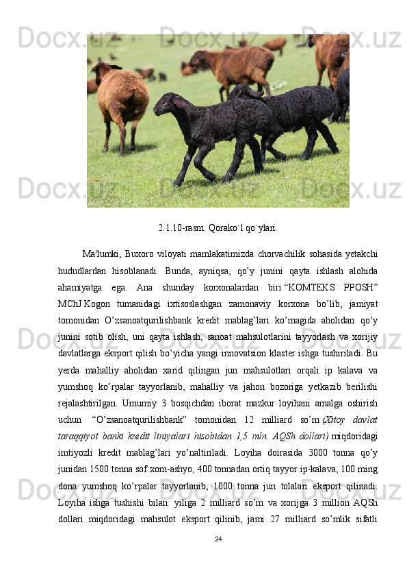 2.1.10-rasm. Qorako`l qo`ylari.
Ma'lumki,   Buxoro   viloyati   mamlakatimizda   chorvachilik   sohasida   yetakchi
hududlardan   hisoblanadi.   Bunda,   ayniqsa,   qo’y   junini   qayta   ishlash   alohida
ahamiyatga   ega.   Ana   shunday   korxonalardan   biri   “KOMTEKS   PPOSH”
MChJ   Kogon   tumanidagi   ixtisoslashgan   zamonaviy   korxona   bo’lib,   jamiyat
tomonidan   O’zsanoatqurilishbank   kredit   mablag’lari   ko’magida   aholidan   qo’y
junini   sotib   olish,   uni   qayta   ishlash,   sanoat   mahsulotlarini   tayyorlash   va   xorijiy
davlatlarga eksport  qilish bo’yicha yangi  innovatsion  klaster  ishga tushiriladi. Bu
yerda   mahalliy   aholidan   xarid   qilingan   jun   mahsulotlari   orqali   ip   kalava   va
yumshoq   ko’rpalar   tayyorlanib,   mahalliy   va   jahon   bozoriga   yetkazib   berilishi
rejalashtirilgan.   Umumiy   3   bosqichdan   iborat   mazkur   loyihani   amalga   oshirish
uchun     “O’zsanoatqurilishbank”   tomonidan   12   milliard   so’m   (Xitoy   davlat
taraqqiyot   banki   kredit   liniyalari   hisobidan   1,5   mln.   AQSh   dollari)   miqdoridagi
imtiyozli   kredit   mablag’lari   yo’naltiriladi.   Loyiha   doirasida   3000   tonna   qo’y
junidan 1500 tonna sof xom-ashyo, 400 tonnadan ortiq tayyor ip-kalava, 100 ming
dona   yumshoq   ko’rpalar   tayyorlanib,   1000   tonna   jun   tolalari   eksport   qilinadi.
Loyiha   ishga   tushishi   bilan     yiliga   2   milliard   so’m   va   xorijga   3   million   AQSh
dollari   miqdoridagi   mahsulot   eksport   qilinib,   jami   27   milliard   so’mlik   sifatli
24 