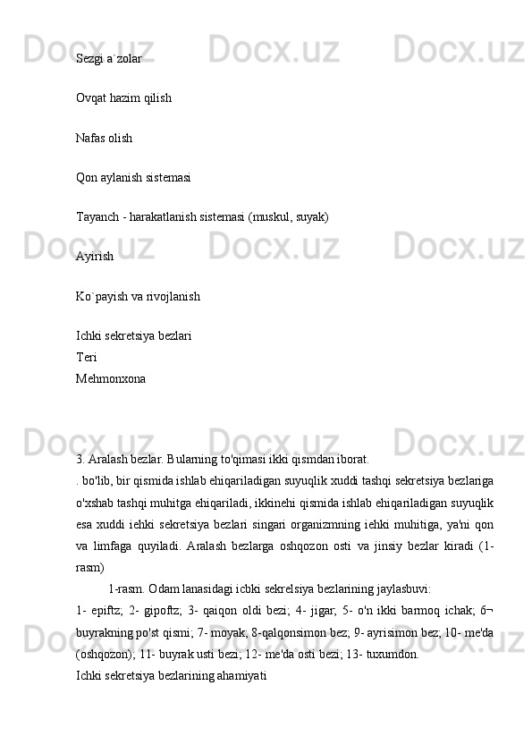 Sezgi a`zolar
 
Ovqat hazim qilish
 
Nafas olish
 
Qon aylanish sistemasi
 
Tayanch - harakatlanish sistemasi (muskul, suyak)
 
Ayirish
 
Ko`payish va rivojlanish
 
Ichki sekretsiya bezlari
Teri
Mehmonxona
   
 
3. Aralash bezlar. Bularning to'qimasi ikki qismdan iborat.
. bo'lib, bir qismida ishlab ehiqariladigan suyuqlik xuddi tashqi sekretsiya bezlariga
o'xshab tashqi muhitga ehiqariladi, ikkinehi qismida ishlab ehiqariladigan suyuqlik
esa   xuddi   iehki   sekretsiya   bezlari   singari   organizmning   iehki   muhitiga,   ya'ni   qon
va   limfaga   quyiladi.   Aralash   bezlarga   oshqozon   osti   va   jinsiy   bezlar   kiradi   (1-
rasm)
1-rasm. Odam lanasidagi icbki sekrelsiya bezlarining jaylasbuvi:
1-   epiftz;   2-   gipoftz;   3-   qaiqon   oldi   bezi;   4-   jigar;   5-   o'n   ikki   barmoq   ichak;   6¬
buyrakning po'st qismi; 7- moyak; 8-qalqonsimon bez; 9- ayrisimon bez; 10- me'da
(oshqozon); 11- buyrak usti bezi; 12- me'da osti bezi; 13- tuxumdon.
Ichki sekretsiya bezlarining ahamiyati 