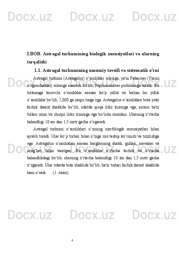6I.BOB. Astragal turkumining biologik xususiyatlari va ularning
tarqalishi
1.1. Astragal turkumining umumiy tavsifi va sistematik o'rni
Astragal turkumi (Astragalus) o‘simliklar oilasiga, ya'ni Fabaceae (Yarim
o‘rgimchaklar) oilasiga mansub bo‘lib, Papilionoideae podoilasiga kiradi. Bu
turkumga   kiruvchi   o‘simliklar   asosan   ko‘p   yillik   va   ba'zan   bir   yillik
o‘simliklar bo‘lib, 2,000 ga yaqin turga ega. Astragalus o‘simliklari buta yoki
kichik   daraxt   shaklida   bo‘lib,   odatda   qisqa   ildiz   tizimiga   ega,   ammo   ba'zi
turlari uzun va chuqur ildiz tizimiga ega bo‘lishi mumkin. Ularning o‘rtacha
balandligi 10 sm dan 1,5 metr gacha o‘zgaradi.
Astragal   turkumi   o‘simliklari   o‘zining   morfologik   xususiyatlari   bilan
ajralib turadi. Ular ko‘p turlari bilan o‘ziga xos tashqi ko‘rinish va tuzilishga
ega.   Astragalus   o‘simliklari   asosan   barglarining   shakli,   gullari,   mevalari   va
urug‘lari   bilan   tanilgan.   Bu   o‘simliklar   o‘rtacha   kichik   va   o‘rtacha
balandlikdagi   bo‘lib,   ularning   o‘rtacha   balandligi   10   sm   dan   1,5   metr   gacha
o‘zgaradi. Ular odatda buta shaklida bo‘lib, ba'zi turlari kichik daraxt shaklida
ham o‘sadi.      (1 -rasm)