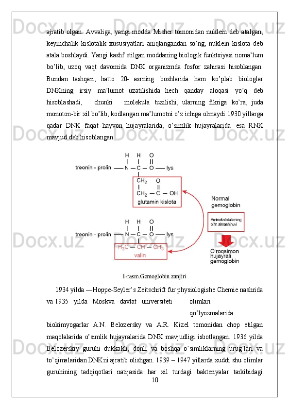 10ajratib   olgan.   Avvaliga,  yangi   modda  Misher   tomonidan   nuklein   deb  atalgan,
keyinchalik   kislotalik   xususiyatlari   aniqlangandan   so’ng,   nuklein   kislota   deb
atala boshlaydi. Yangi kashf etilgan moddaning biologik funktsiyasi noma’lum
bo’lib,   uzoq   vaqt   davomida   DNK   organizmda   fosfor   zahirasi   hisoblangan.
Bundan   tashqari,   hatto   20-   asrning   boshlarida   ham   ko’plab   biologlar
DNKning   irsiy   ma’lumot   uzatilishida   hech   qanday   aloqasi   yo’q   deb
hisoblashadi,     chunki     molekula   tuzilishi,   ularning   fikriga   ko’ra,   juda
monoton-bir   xil   bo’lib,   kodlangan   ma’lumotni   o’z   ichiga olmaydi.1930 yillarga
qadar   DNK   faqat   hayvon   hujayralarida,   o’simlik   hujayralarida   esa   RNK
mavjud deb hisoblangan.
1934 yilda ―Hoppe-Seyler’s Zeitschrift fur physiologishe Chemie nashrida
va 1935     yilda     Moskva     davlat     universiteti olimlari
qo’lyozmalarida
biokimyogarlar   A.N.   Belozersky   va   A.R.   Kizel   tomonidan   chop   etilgan
maqolalarida   o’simlik   hujayralarida   DNK   mavjudligi   isbotlangan.   1936   yilda
Belozerskiy   guruhi   dukkakli,   donli   va   boshqa   o’simliklarning   urug’lari   va
to’qimalaridan DNKni ajratib olishgan. 1939 – 1947 yillarda xuddi shu olimlar
guruhining   tadqiqotlari   natijasida   har   xil   turdagi   bakteriyalar   tarkibidagi 