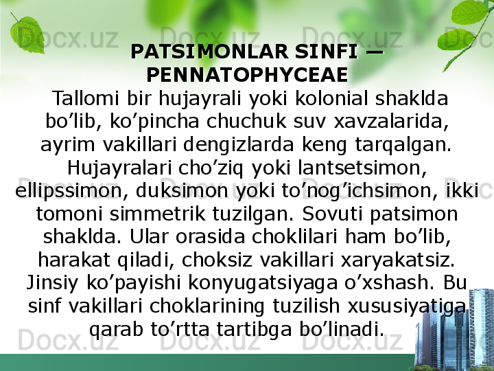     PATSIMONLAR SINFI — 
PENNATOPHYCEAE
 Tallomi bir hujayrali yoki kolonial shaklda 
bo’lib, ko’pincha chuchuk suv xavzalarida, 
ayrim vakillari dengizlarda keng tarqalgan. 
Hujayralari cho’ziq yoki lantsetsimon, 
ellipssimon, duksimon yoki to’nog’ichsimon, ikki 
tomoni simmetrik tuzilgan. Sovuti patsimon 
shaklda. Ular orasida choklilari ham bo’lib, 
harakat qiladi, choksiz vakillari xaryakatsiz. 
Jinsiy ko’payishi konyugatsiyaga o’xshash. Bu 
sinf vakillari choklarining tuzilish xususiyatiga 
qarab to’rtta tartibga bo’linadi.   