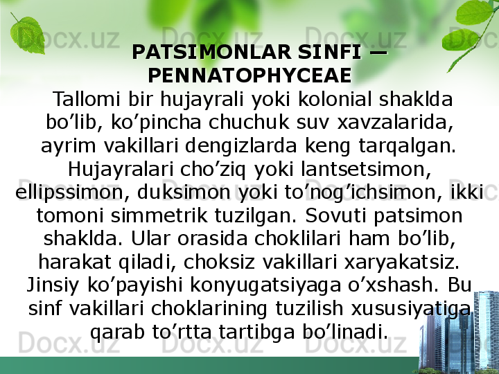 PATSIMONLAR SINFI — 
PENNATOPHYCEAE
 Tallomi bir hujayrali yoki kolonial shaklda 
bo’lib, ko’pincha chuchuk suv xavzalarida, 
ayrim vakillari dengizlarda keng tarqalgan. 
Hujayralari cho’ziq yoki lantsetsimon, 
ellipssimon, duksimon yoki to’nog’ichsimon, ikki 
tomoni simmetrik tuzilgan. Sovuti patsimon 
shaklda. Ular orasida choklilari ham bo’lib, 
harakat qiladi, choksiz vakillari xaryakatsiz. 
Jinsiy ko’payishi konyugatsiyaga o’xshash. Bu 
sinf vakillari choklarining tuzilish xususiyatiga 
qarab to’rtta tartibga bo’linadi.