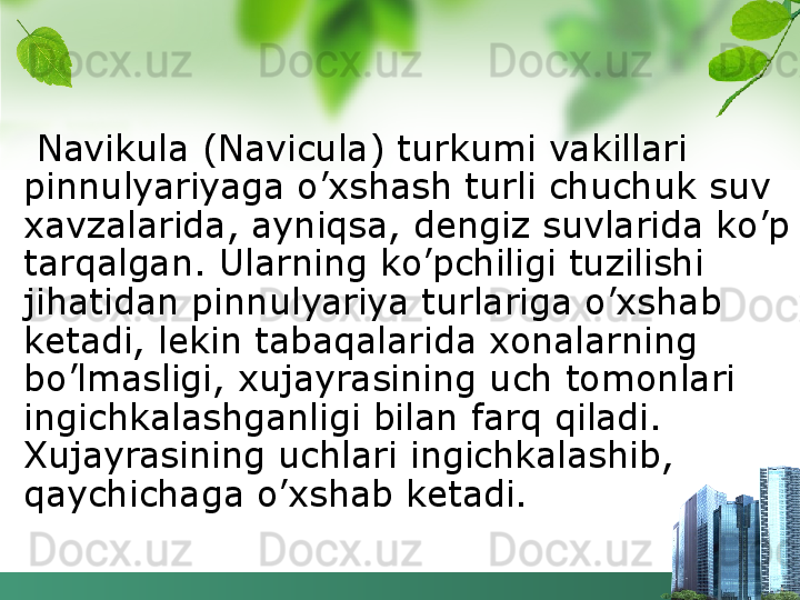   Navikula (Navicula) turkumi vakillari 
pinnulyariyaga o’xshash turli chuchuk suv 
xavzalarida, ayniqsa, dengiz suvlarida ko’p 
tarqalgan. Ularning ko’pchiligi tuzilishi 
jihatidan pinnulyariya turlariga o’xshab 
ketadi, lekin tabaqalarida xonalarning 
bo’lmasligi, xujayrasining uch tomonlari 
ingichkalashganligi bilan farq qiladi. 
Xujayrasining uchlari ingichkalashib, 
qaychichaga o’xshab ketadi.   