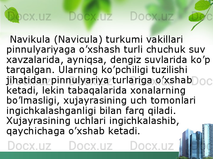 Navikula (Navicula) turkumi vakillari 
pinnulyariyaga o’xshash turli chuchuk suv 
xavzalarida, ayniqsa, dengiz suvlarida ko’p 
tarqalgan. Ularning ko’pchiligi tuzilishi 
jihatidan pinnulyariya turlariga o’xshab 
ketadi, lekin tabaqalarida xonalarning 
bo’lmasligi, xujayrasining uch tomonlari 
ingichkalashganligi bilan farq qiladi. 
Xujayrasining uchlari ingichkalashib, 
qaychichaga o’xshab ketadi.