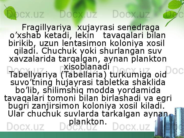    Fragillyariya  xujayrasi senedraga 
o’xshab ketadi, lekin   tavaqalari bilan 
birikib, uzun lentasimon koloniya xosil  
qiladi. Chuchuk yoki shurlangan suv 
xavzalarida tarqalgan, aynan plankton 
xisoblanadi 
Tabellyariya (Tabellaria) turkumiga oid 
suvo’tning hujayrasi tabletka shaklida 
bo’lib, shilimshiq modda yordamida 
tavaqalari tomoni bilan birlashadi va egri 
bugri zanjirsimon koloniya xosil kiladi.  
Ular chuchuk suvlarda tarkalgan aynan 
plankton. 