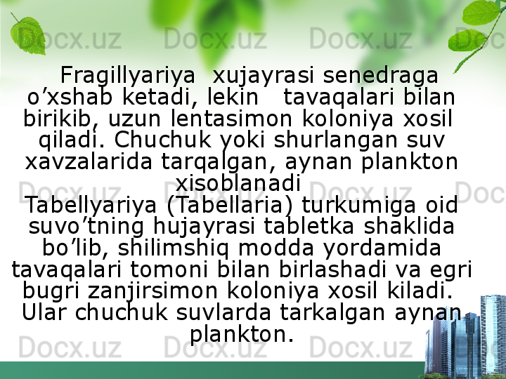 Fragillyariya  xujayrasi senedraga 
o’xshab ketadi, lekin   tavaqalari bilan 
birikib, uzun lentasimon koloniya xosil  
qiladi. Chuchuk yoki shurlangan suv 
xavzalarida tarqalgan, aynan plankton 
xisoblanadi 
Tabellyariya (Tabellaria) turkumiga oid 
suvo’tning hujayrasi tabletka shaklida 
bo’lib, shilimshiq modda yordamida 
tavaqalari tomoni bilan birlashadi va egri 
bugri zanjirsimon koloniya xosil kiladi.  
Ular chuchuk suvlarda tarkalgan aynan 
plankton.
