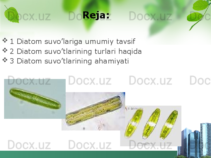                     Reja:

1 Diatom suvo’lariga umumiy tavsif

2 Diatom suvo’tlarining turlari haqida

3 Diatom suvo’tlarining ahamiyati
   