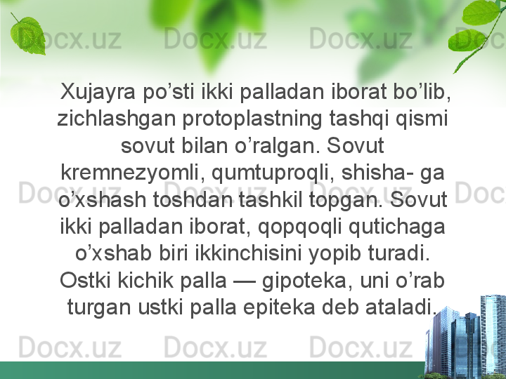   Xujayra po’sti ikki palladan iborat bo’lib, 
zichlashgan protoplastning tashqi qismi 
sovut bilan o’ralgan. Sovut 
kremnezyomli, qumtuproqli, shisha- ga 
o’xshash toshdan tashkil topgan. Sovut 
ikki palladan iborat, qopqoqli qutichaga 
o’xshab biri ikkinchisini yopib turadi. 
Ostki kichik palla — gipoteka, uni o’rab 
turgan ustki palla epiteka deb ataladi. 