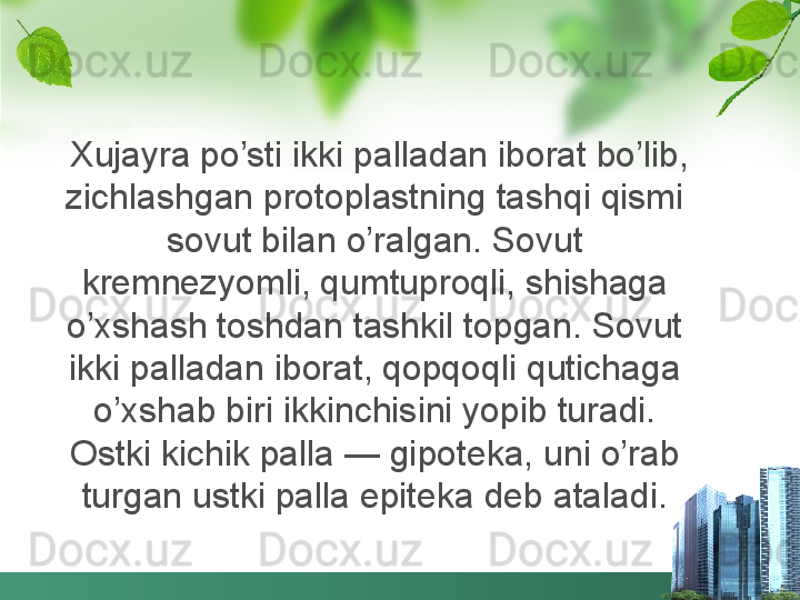   Xujayra po’sti ikki palladan iborat bo’lib, 
zichlashgan protoplastning tashqi qismi 
sovut bilan o’ralgan. Sovut 
kremnezyomli, qumtuproqli, shishaga 
o’xshash toshdan tashkil topgan. Sovut 
ikki palladan iborat, qopqoqli qutichaga 
o’xshab biri ikkinchisini yopib turadi. 
Ostki kichik palla — gipoteka, uni o’rab 
turgan ustki palla epiteka deb ataladi. 