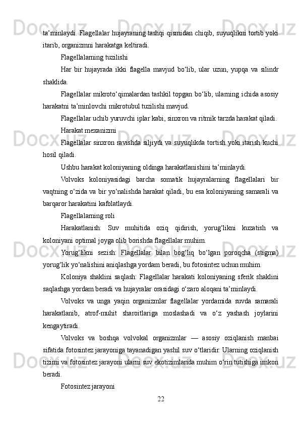 ta’minlaydi. Flagellalar hujayraning tashqi qismidan chiqib, suyuqlikni tortib yoki
itarib, organizmni harakatga keltiradi.
Flagellalarning tuzilishi
Har   bir   hujayrada   ikki   flagella   mavjud   bo‘lib,   ular   uzun,   yupqa   va   silindr
shaklida.
Flagellalar mikroto‘qimalardan tashkil topgan bo‘lib, ularning ichida asosiy
harakatni ta’minlovchi mikrotubul tuzilishi mavjud.
Flagellalar uchib yuruvchi iplar kabi, sinxron va ritmik tarzda harakat qiladi.
Harakat mexanizmi
Flagellalar sinxron ravishda siljiydi va suyuqlikda tortish yoki itarish kuchi
hosil qiladi.
Ushbu harakat koloniyaning oldinga harakatlanishini ta’minlaydi.
Volvoks   koloniyasidagi   barcha   somatik   hujayralarning   flagellalari   bir
vaqtning o‘zida va bir yo‘nalishda harakat qiladi, bu esa koloniyaning samarali va
barqaror harakatini kafolatlaydi.
Flagellalarning roli
Harakatlanish:   Suv   muhitida   oziq   qidirish,   yorug‘likni   kuzatish   va
koloniyani optimal joyga olib borishda flagellalar muhim.
Yorug‘likni   sezish:   Flagellalar   bilan   bog‘liq   bo‘lgan   poroqcha   (stigma)
yorug‘lik yo‘nalishini aniqlashga yordam beradi, bu fotosintez uchun muhim.
Koloniya   shaklini   saqlash:   Flagellalar   harakati   koloniyaning   sferik   shaklini
saqlashga yordam beradi va hujayralar orasidagi o‘zaro aloqani ta’minlaydi.
Volvoks   va   unga   yaqin   organizmlar   flagellalar   yordamida   suvda   samarali
harakatlanib,   atrof-muhit   sharoitlariga   moslashadi   va   o‘z   yashash   joylarini
kengaytiradi.
Volvoks   va   boshqa   volvokal   organizmlar   —   asosiy   oziqlanish   manbai
sifatida fotosintez jarayoniga tayanadigan yashil suv o‘tlaridir. Ularning oziqlanish
tizimi va fotosintez jarayoni ularni suv ekotizimlarida muhim o‘rin tutishiga imkon
beradi.
Fotosintez jarayoni
22 