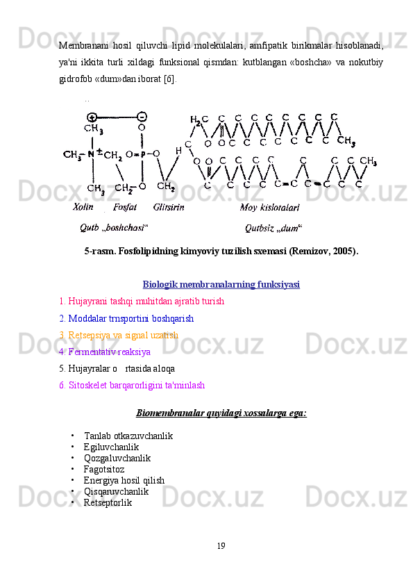 Membranani   hosil   qiluvchi   lipid   molekulalari,   amfipatik   birikmalar   hisoblanadi,
ya'ni   ikkita   turli   xildagi   funksional   qismdan:   kutblangan   «boshcha»   va   nokutbiy
gidrofob «dum»dan iborat [6]. 
           
5 -rasm. Fosfolipidning kimyoviy tuzilish sxemasi (Remizov, 2005).
Biologik membranalarning funksiyasi
1. Hujayrani tashqi muhitdan ajratib turish  
2. Moddalar trnsportini boshqarish   
3. Retsepsiya va signal uzatish      
4. Fermentativ reaksiya 
5. Hujayralar o rtasida aloqa  
6. Sitoskelet barqarorligini ta'minlash
Biomembranalar quyidagi xossalarga ega:
• Tanlab otkazuvchanlik

• Egiluvchanlik
• Qozgaluvchanlik	
 
• Fagotsitoz
• Energiya hosil qilish
• Qisqaruvchanlik
• Retseptorlik
19 