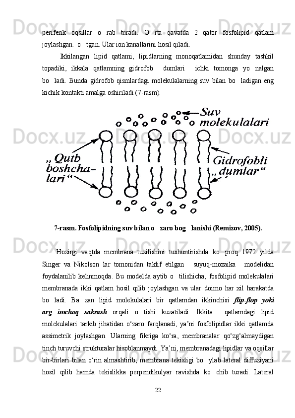 periferik   oqsillar   o rab   turadi.   O rta   qavatda   2   qator   fosfolipid   qatlam 
joylashgan.  o tgan. Ular ion kanallarini hosil qiladi. 	

Ikkilangan   lipid   qatlami,   lipidlarning   monoqatlamidan   shunday   tashkil
topadiki,   ikkala   qatlamning   gidrofob   dumlari   ichki   tomonga   yo nalgan	
  
bo ladi.   Bunda   gidrofob   qismlardagi   molekulalarning   suv   bilan   bo ladigan   eng	
 
kichik kontakti amalga oshiriladi (7-rasm).
7 -rasm. Fosfolipidning suv bilan o zaro bog lanishi (Remizov, 2005).	
 
Hozirgi   vaqtda   membrana   tuzilishini   tushuntirishda   ko proq   1972   yilda	

Singer   va   Nikolson   lar   tomonidan   taklif   etilgan   suyuq-mozaika   modelidan	
 
foydalanilib   kelinmoqda.   Bu   modelda   aytib   o tilishicha,   fosfolipid   molekulalari	

membranada   ikki   qatlam   hosil   qilib   joylashgan   va   ular   doimo   har   xil   harakatda
bo ladi.   Ba zan   lipid   molekulalari   bir   qatlamdan   ikkinchisi	
    flip-flop   yoki
arg imchoq   sakrash  
 orqali   o tishi   kuzatiladi.   Ikkita     qatlamdagi   lipid	
molekulalari   tarkib   jihatidan   o‘zaro   farqlanadi,   ya’ni   fosfolipidlar   ikki   qatlamda
assimetrik   joylashgan.   Ularning   fikriga   ko‘ra,   membranalar   qo‘zg‘almaydigan
tinch turuvchi strukturalar hisoblanmaydi. Yа’ni, membranadagi lipidlar va oqsillar
bir-birlari   bilan   o‘rin   almashtirib,   membrana   tekisligi   bo ylab   lateral   diffuziyani	

hosil   qilib   hamda   tekislikka   perpendikulyar   ravishda   ko chib   turadi.   Lateral	

22 