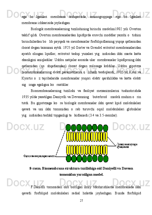 ega   bo lganlari   membrana   tashqarisida,   aminogruppaga   ega   bo lganlari 
membrana ichkarisida joylashgan. 
Biologik membranalarning tuzilishining birinchi modelini1902 yili Overton
taklif qildi. Overton membranalardan lipidlprda eruvchi moddlar yaxshi o tishini	

birinchilardan bo lib payqadi va membranalar fosfolipidlarning yupqa qatlamidan	

iborat degan taxminni aytdi. 1925 yil Gorter va Grendel eritrotsit membranalaridan
ajratib   olingan   lipidlar,   eritrotsit   tashqi   yuzalari   yig indisidan   ikki   marta   katta	

ekanligini aniqladilar. Ushbu natijalar asosida ular   membranalar lipidlprning ikki
qatlamidan   (qo shqatlamdan)   iborat   degan   xulosaga   keldilar.   Ushbu   gipoteza	

biomembranalarning elektr parametrlarini o lchash tasdiqlandi; 1935 yil Koul va	

Kyortis   o z   tajribalarida   membranalar   yuqori   elektr   qarshilikka   va   katta   elektr	

sig imga egaligini ko rsatdilar.	
 
Biomembranalarning   tuzilishi   va   faoliyat   mexanizmlarini   tushintirishda
1935 yilda yaratilgan Daniyelli va Devsonning  buterbrod  modeli muhim o rin	
  
tutdi.   Bu   gipotezaga   ko ra   biologik   membranalar   ikki   qavat   lipid   molekulalari	

qavati   va   uni   ikki   tomonidan   o rab   turuvchi   oqsil   molekulalari   globulalar	

yig indisidan tashkil topganligi ta kidlanadi (3.4 va 3.5-rasmlar).	
 
8 -rasm. Biomembrana struktura tuzilishiga oid Daniyelli va Dаvson
tomonidan yaratilgan model.
F.Danielli   tomonidan   olib   borilgan   ilmiy   tekshirishlarda   membranada   ikki
qavatli   fosfolipid   molekulalari   radial   holatda   joylashgan.   Bunda   fosfolipid
27 