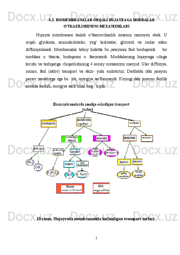4.1 . BIOMEMBRANALAR ORQALI HUJAYRAGA MODDALAR
O‘TKAZILISHINING MEXANIZMLARI
Hujayra   membranasi   tanlab   o‘tkazuvchanlik   xosasini   namoyon   etadi.   U
orqali   glyukoza,   aminokislotalar,   yog‘   kislotalar,   glitserol   va   ionlar   sekin
diffuziyalanadi.   Membranalar   tabiiy   holatda   bu   jarayonni   faol   boshqaradi     bir
moddani   o tkazsa,   boshqasini   o tkazmaydi.   Moddalarning   hujayraga   ichiga	
 
kirishi  va  tashqariga  chiqarilishining  4  asosiy  mexanizmi   mavjud. Ular   diffuziya,
osmos,   faol   (aktiv)   transport   va   ekzo-   yoki   endotsitoz.   Dastlabki   ikki   jarayon
passiv xarakterga ega bo lib, energiya sarflanmaydi. Keyingi ikki jarayon faollik	

asosida kechib, energiya sarfi bilan bog liqdir. 	

10 -rasm. Hujayrada membranasida kechadigan transport  turlari . 
1 
