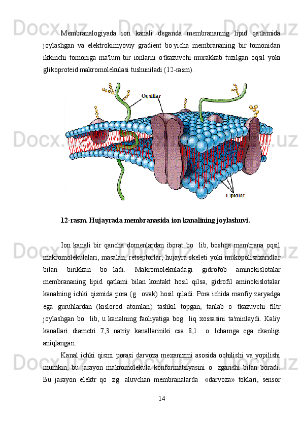 Membranalogiyada   ion   kanali   deganda   membrananing   lipid   qatlamida
joylashgan   va   elektrokimyoviy   gradient   bo yicha   membrananing   bir   tomonidan
ikkinchi   tomoniga   ma'lum   bir   ionlarni   o tkazuvchi   murakkab   tuzilgan   oqsil   yoki	

glikoproteid makromolekulasi tushuniladi (12-rasm).
1 2 -rasm. Hujayrada membranasida ion kanalining joylashuvi.
 
Ion   kanali   bir   qancha   domenlardan   iborat   bo lib,   boshqa   membrana   oqsil	

makromolekulalari, masalan, retseptorlar, hujayra skeleti  yoki mukopolisaxaridlar
bilan   birikkan   bo ladi.   Makromolekuladagi   gidrofob   aminokislotalar	

membrananing   lipid   qatlami   bilan   kontakt   hosil   qilsa,   gidrofil   aminokislotalar
kanalning ichki qismida pora (g ovak) hosil qiladi. Pora ichida manfiy zaryadga	

ega   guruhlardan   (kislorod   atomlari)   tashkil   topgan,   tanlab   o tkazuvchi   filtr	

joylashgan   bo lib,   u   kanalning   faoliyatiga   bog liq   xossasini   ta'minlaydi.   Kaliy	
 
kanallari   diametri   7,3   natriy   kanallariniki   esa   8,1     o lchamga   ega   ekanligi	

aniqlangan. 
Kanal   ichki   qismi   porasi   darvoza   mexanizmi   asosida   ochilishi   va   yopilishi
mumkin,   bu   jarayon   makromolekula   konformatsiyasini   o zgarishi   bilan   boradi.

Bu   jarayon   elektr   qo zg aluvchan   membranalarda     «darvoza»   toklari,   sensor	
 
14 