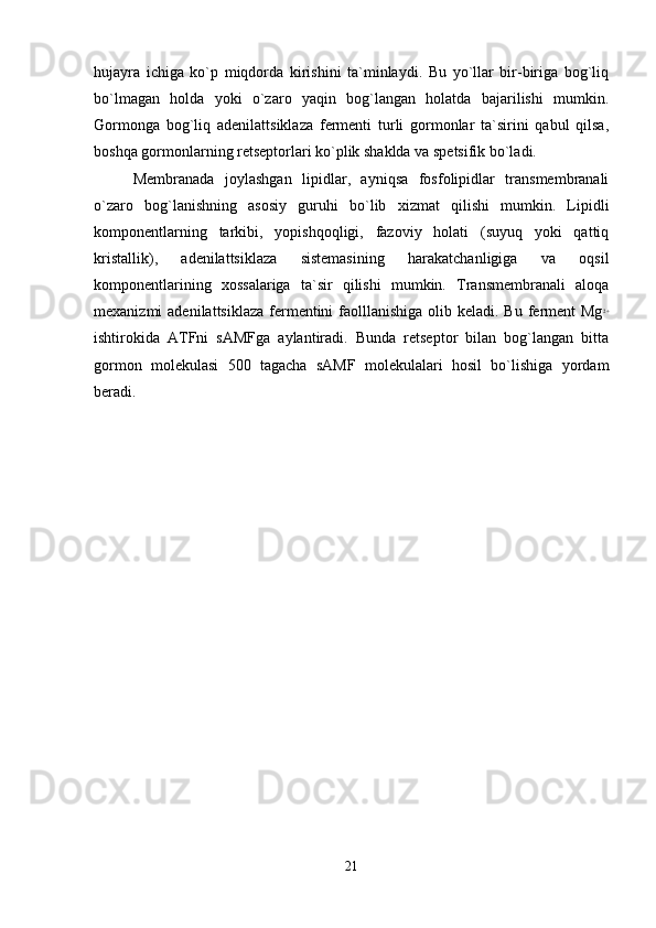 hujayra   ichiga   ko`p   miqdorda   kirishini   ta`minlaydi.   Bu   yo`llar   bir-biriga   bog`liq
bo`lmagan   holda   yoki   o`zaro   yaqin   bog`langan   holatda   bajarilishi   mumkin.
Gormonga   bog`liq   adenilattsiklaza   fermenti   turli   gormonlar   ta`sirini   qabul   qilsa,
boshqa gormonlarning retseptorlari ko`plik shaklda va spetsifik bo`ladi.
Membranada   joylashgan   lipidlar,   ayniqsa   fosfolipidlar   transmembranali
o`zaro   bog`lanishning   asosiy   guruhi   bo`lib   xizmat   qilishi   mumkin.   Lipidli
komponentlarning   tarkibi,   yopishqoqligi,   fazoviy   holati   (suyuq   yoki   qattiq
kristallik),   adenilattsiklaza   sistemasining   harakatchanligiga   va   oqsil
komponentlarining   xossalariga   ta`sir   qilishi   mumkin.   Transmembranali   aloqa
mexanizmi  adenilattsiklaza  fermentini  faolllanishiga olib keladi. Bu  ferment  Mg 2+
ishtirokida   ATFni   sAMFga   aylantiradi.   Bunda   retseptor   bilan   bog`langan   bitta
gormon   molekulasi   500   tagacha   sAMF   molekulalari   hosil   bo`lishiga   yordam
beradi. 
21 