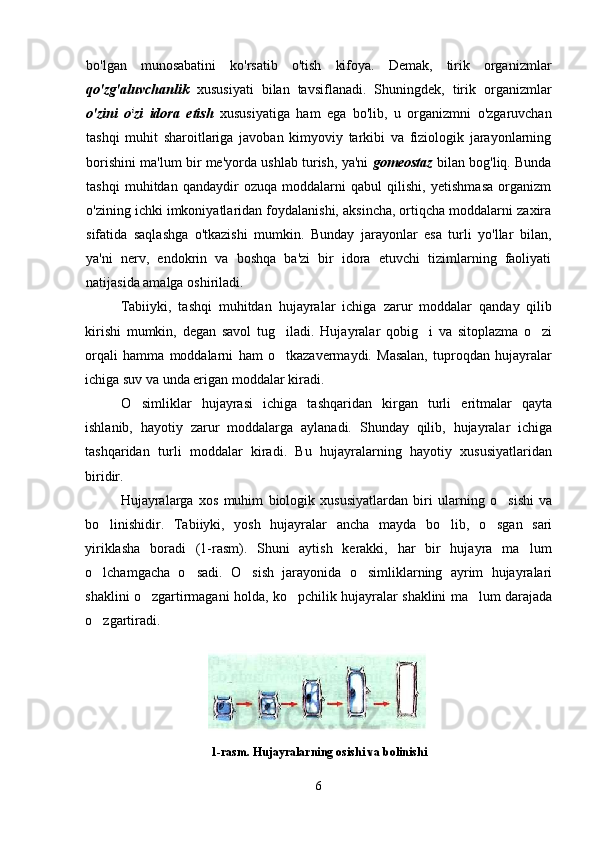 bo'lgan   munosabatini   ko'rsatib   o'tish   kifoya.   Demak,   tirik   organizmlar
qo'zg'aluvchanlik   xususiyati   bilan   tavsiflanadi.   Shuningdek,   tirik   organizmlar
o'zini   o i
zi   idora   etish   xususiyatiga   ham   ega   bo'lib,   u   organizmni   o'zgaruvchan
tashqi   muhit   sharoitlariga   javoban   kimyoviy   tarkibi   va   fiziologik   jarayonlarning
borishini ma'lum bir me'yorda ushlab turish, ya'ni  gomeostaz  bilan bog'liq. Bunda
tashqi   muhitdan   qandaydir   ozuqa   moddalarni   qabul   qilishi,   yetishmasa   organizm
o'zining ichki imkoniyatlaridan foydalanishi, aksincha, ortiqcha moddalarni zaxira
sifatida   saqlashga   o'tkazishi   mumkin.   Bunday   jarayonlar   esa   turli   yo'llar   bilan,
ya'ni   nerv,   endokrin   va   boshqa   ba'zi   bir   idora   etuvchi   tizimlarning   faoliyati
natijasida amalga oshiriladi.
Tabiiyki,   tashqi   muhitdan   hujayralar   ichiga   zarur   moddalar   qanday   qilib
kirishi   mumkin,   degan   savol   tug iladi.   Hujayralar   qobig i   va   sitoplazma   o zi  
orqali   hamma   moddalarni   ham   o tkazavermaydi.   Masalan,   tuproqdan   hujayralar

ichiga suv va unda erigan moddalar kiradi.
O simliklar   hujayrasi   ichiga   tashqaridan   kirgan   turli   eritmalar   qayta	

ishlanib,   hayotiy   zarur   moddalarga   aylanadi.   Shunday   qilib,   hujayralar   ichiga
tashqaridan   turli   moddalar   kiradi.   Bu   hujayralarning   hayotiy   xususiyatlaridan
biridir.
Hujayralarga   xos   muhim   biologik   xususiyatlardan   biri   ularning   o sishi   va	

bo linishidir.   Tabiiyki,   yosh   hujayralar   ancha   mayda   bo lib,   o sgan   sari	
  
yiriklasha   boradi   (1-rasm).   Shuni   aytish   kerakki,   har   bir   hujayra   ma lum	

o lchamgacha   o sadi.   O sish   jarayonida   o simliklarning   ayrim   hujayralari	
   
shaklini o zgartirmagani holda, ko pchilik hujayralar shaklini ma lum darajada	
  
o zgartiradi.	

1 -rasm.  Hujayralarning osishi va bolinishi	
 
6 